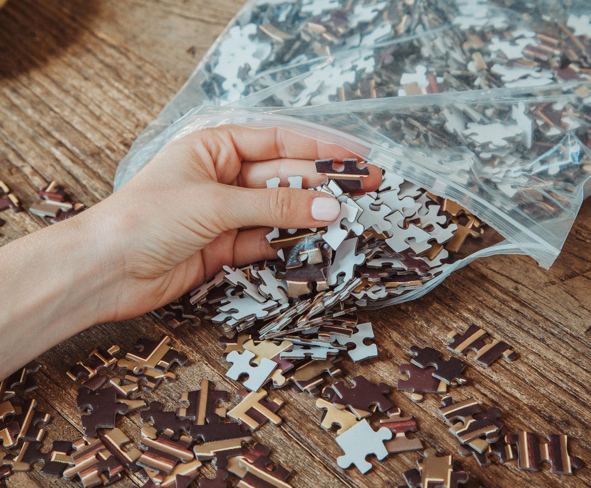 Amazon.com: Bitcoin 1000-Piece Round Jigsaw Puzzle, Brain Teaser for Kids  and Adults : Toys & Games