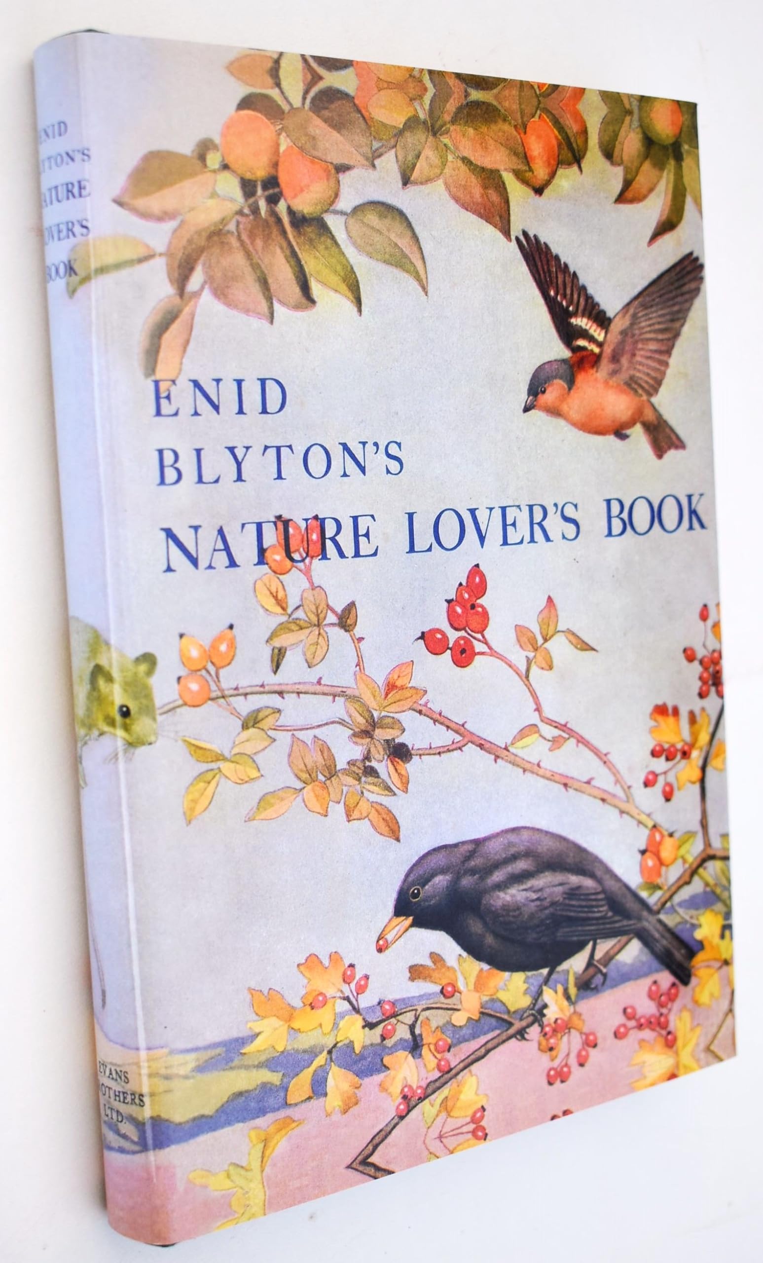 Enid Blyton's Nature Lover's Book