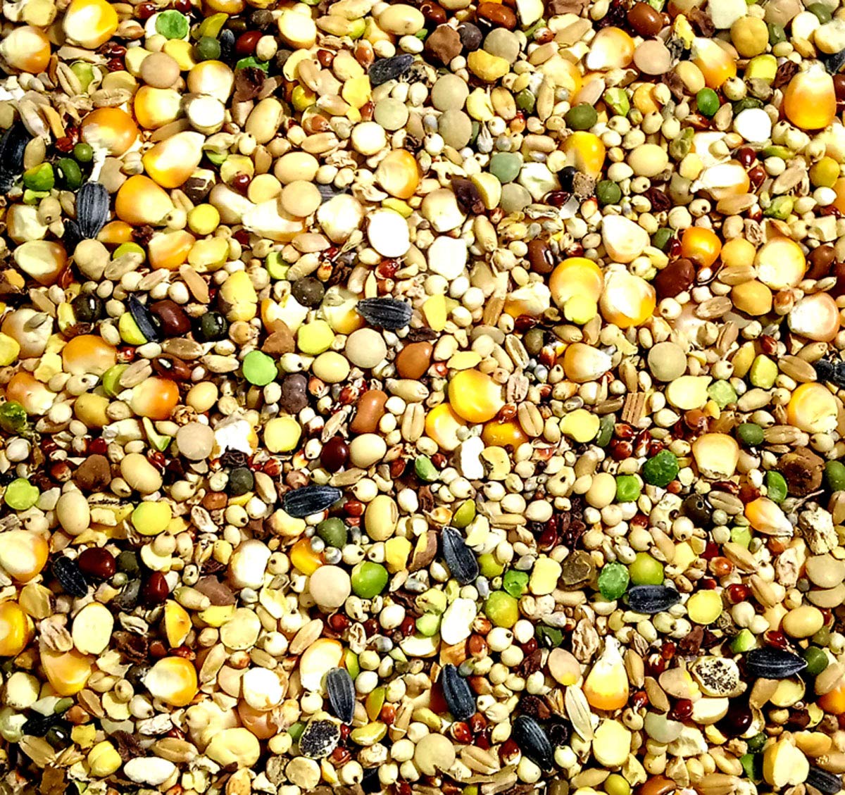 One Top Mixed 15 Types of Multi Growth Foods Seeds Nuts Big Parrot,Dove,Cockatoo,Macaw,and Other All Big Birds Natural Birds Foods and Mixed Nuts&Seeds All Eating Birds (B0BPXL683J) Amazon Price History, Amazon Price Tracker