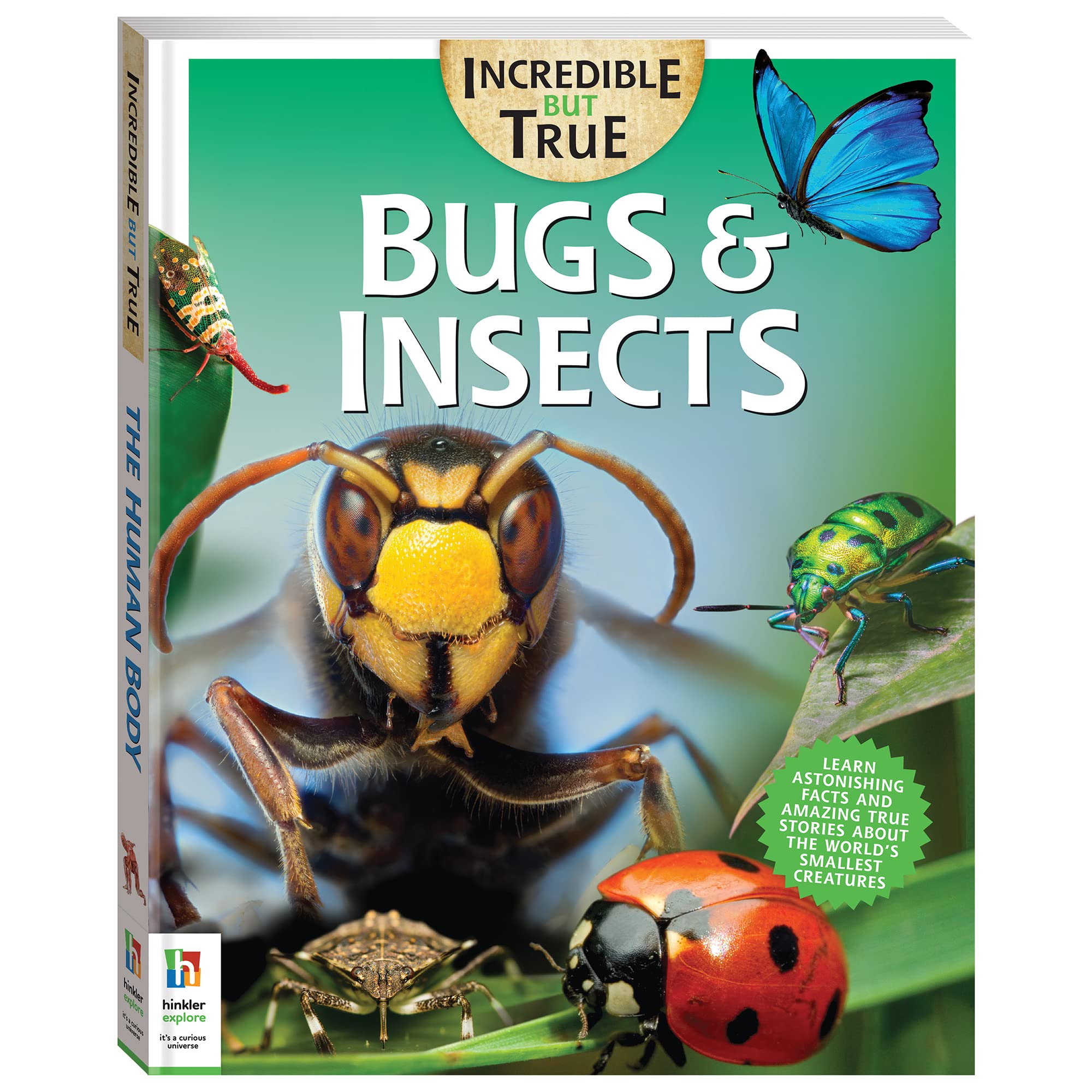 Bugs & Insects - Kids Hardcover Book, Learn About These Small Creatures, STEM for Kids Aged 7-12, Color Illustrated Non-Fiction Books, Learning & Education
