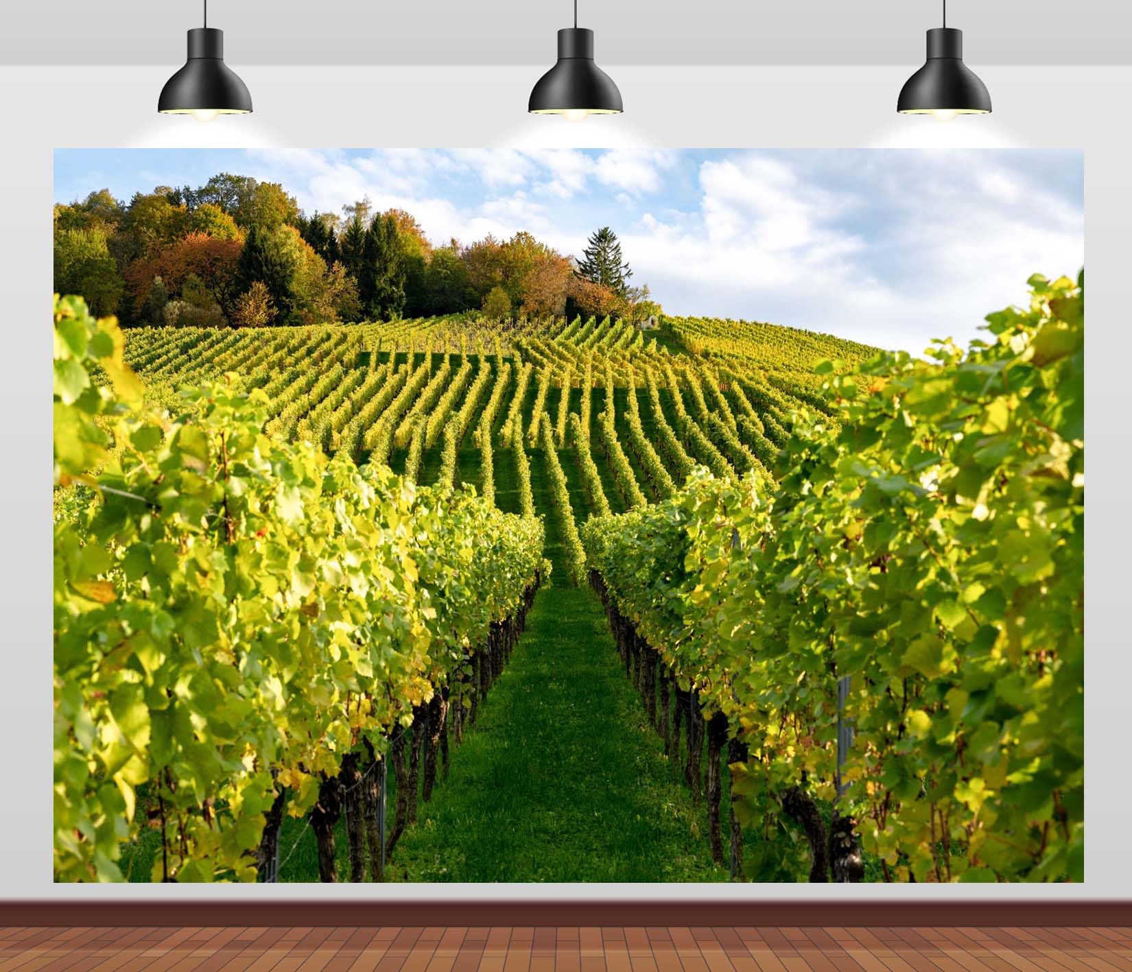 3x2.5m Toile de Fond de vignoble d'automne,vignes Vertes,arrière-Plan de Photographie,vignes de Campagne,Paysage de vignoble,décor de fête de récolte,Accessoires de Studio Photo de Portrait
