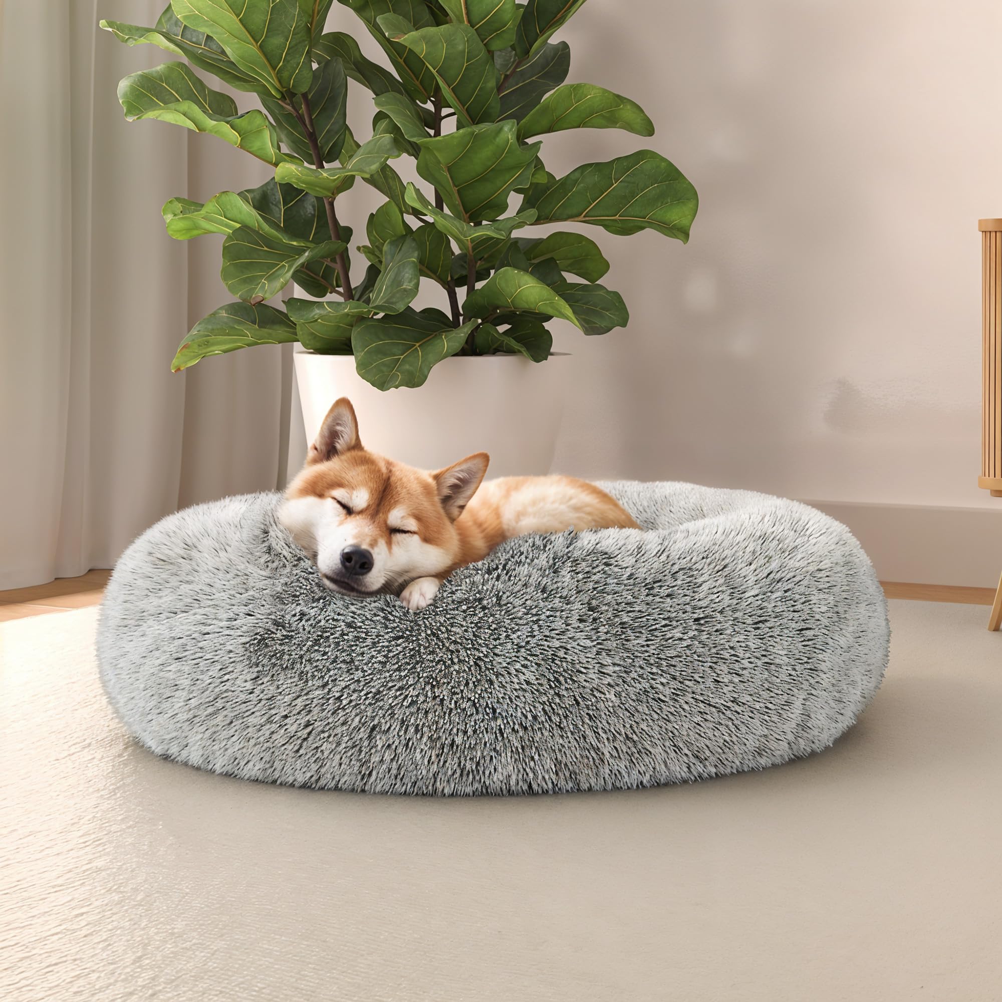 Italian Bed Linen Morbida Cuccia Dreams per Cani e Gatti, Perla, 60x60cm