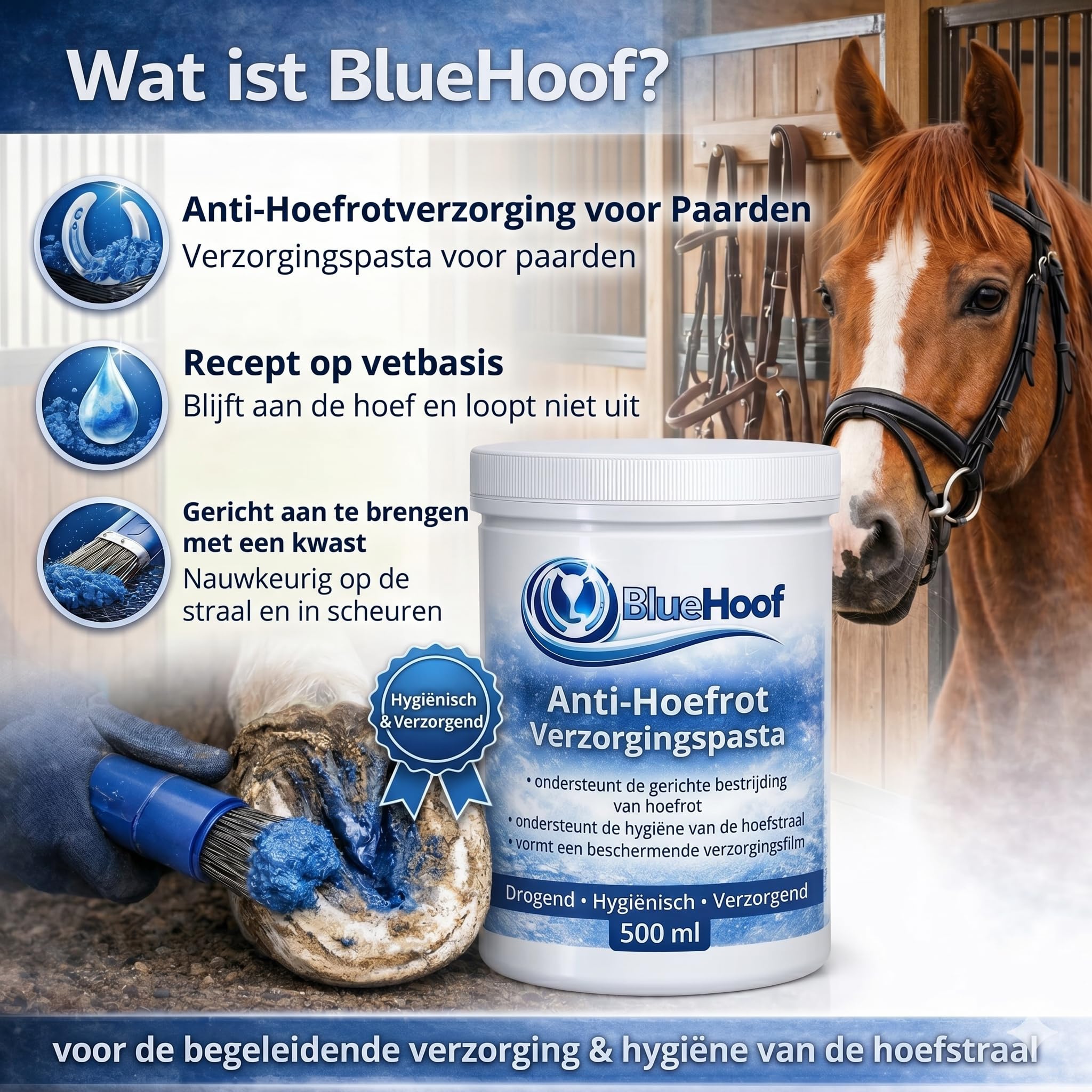 BlueHoof Strahlfäule Paste für Pferde – Hufpflege gegen Strahlfäule & Hufprobleme – trocknend & pflegend – 250 ml