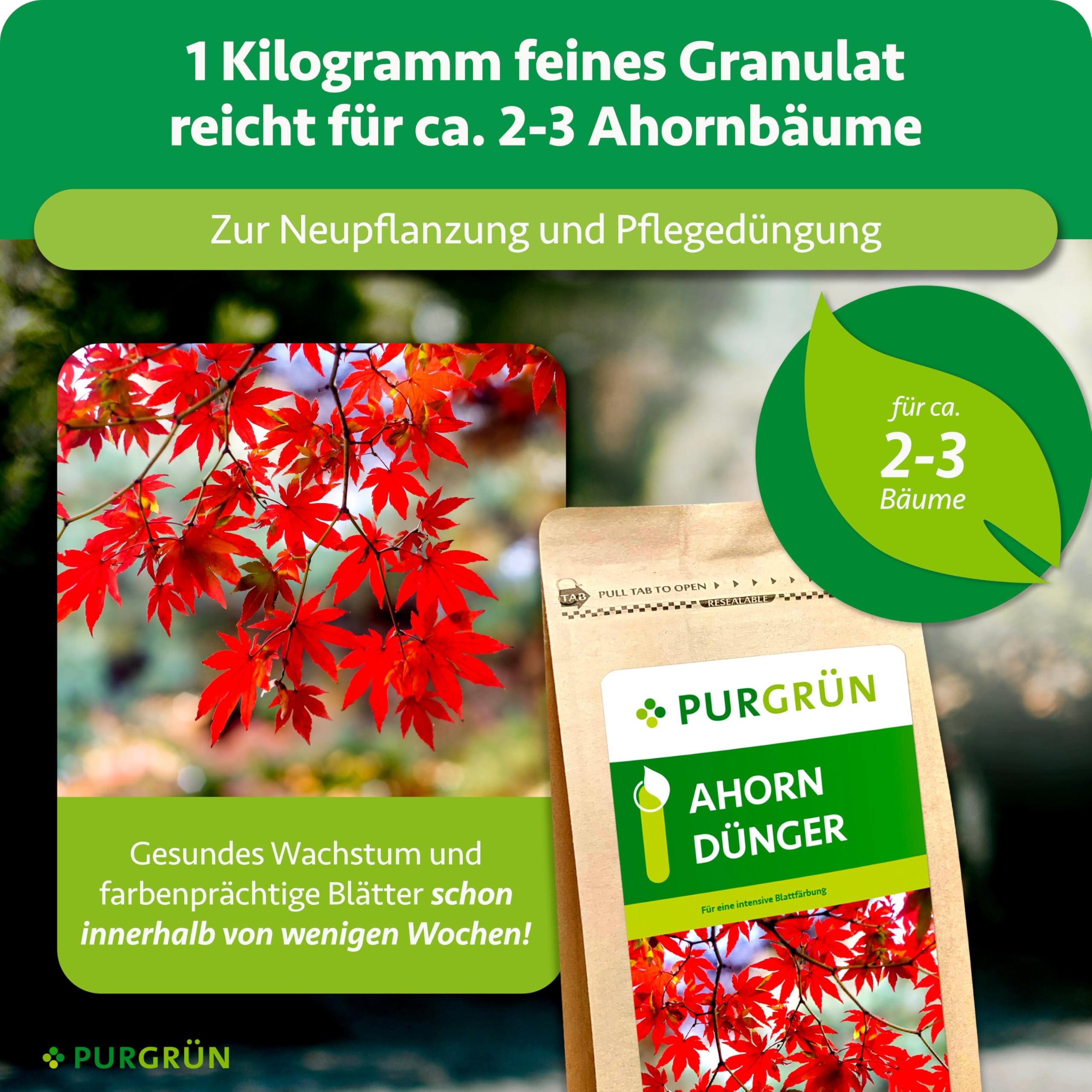 Ahorn-Dünger 1 kg – Organisch-mineralische Rezeptur – Feinkörniges Krümelgranulat – NPK 9+4+8 – Mit Magnesium & Tonmineralien – Extra Kalium für Widerstandsfähigkeit – Für gesunde Ahornbäume