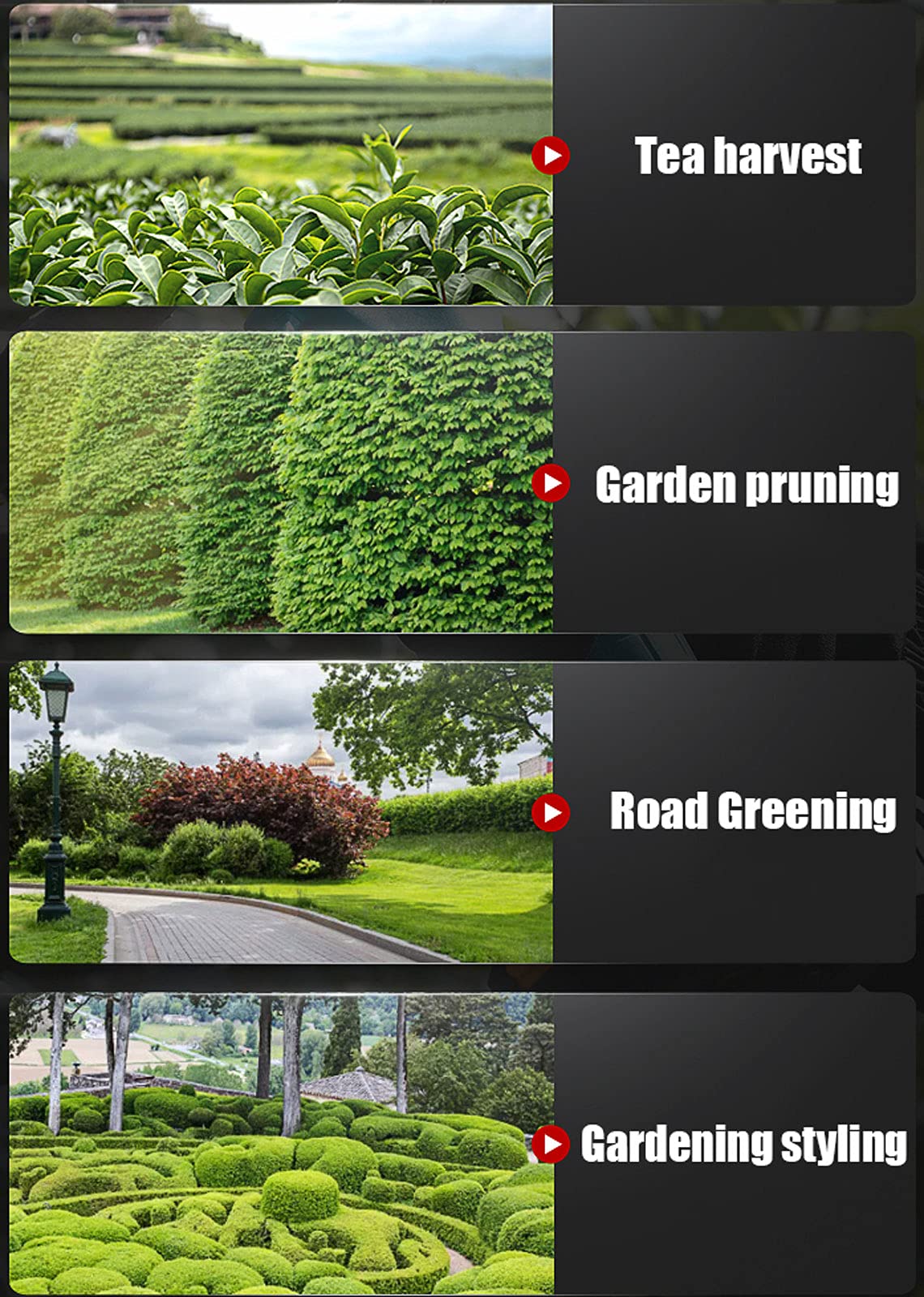 LXYYSG Cortasetos Desbrozadora de Jardin Multifunción Gasolina Cizallas para Setos para Podar Flores, Árboles, Hierba, Arbustos, Asa Auxiliar + Bisel de Seguridad, Diámetro Recorte: 2cm