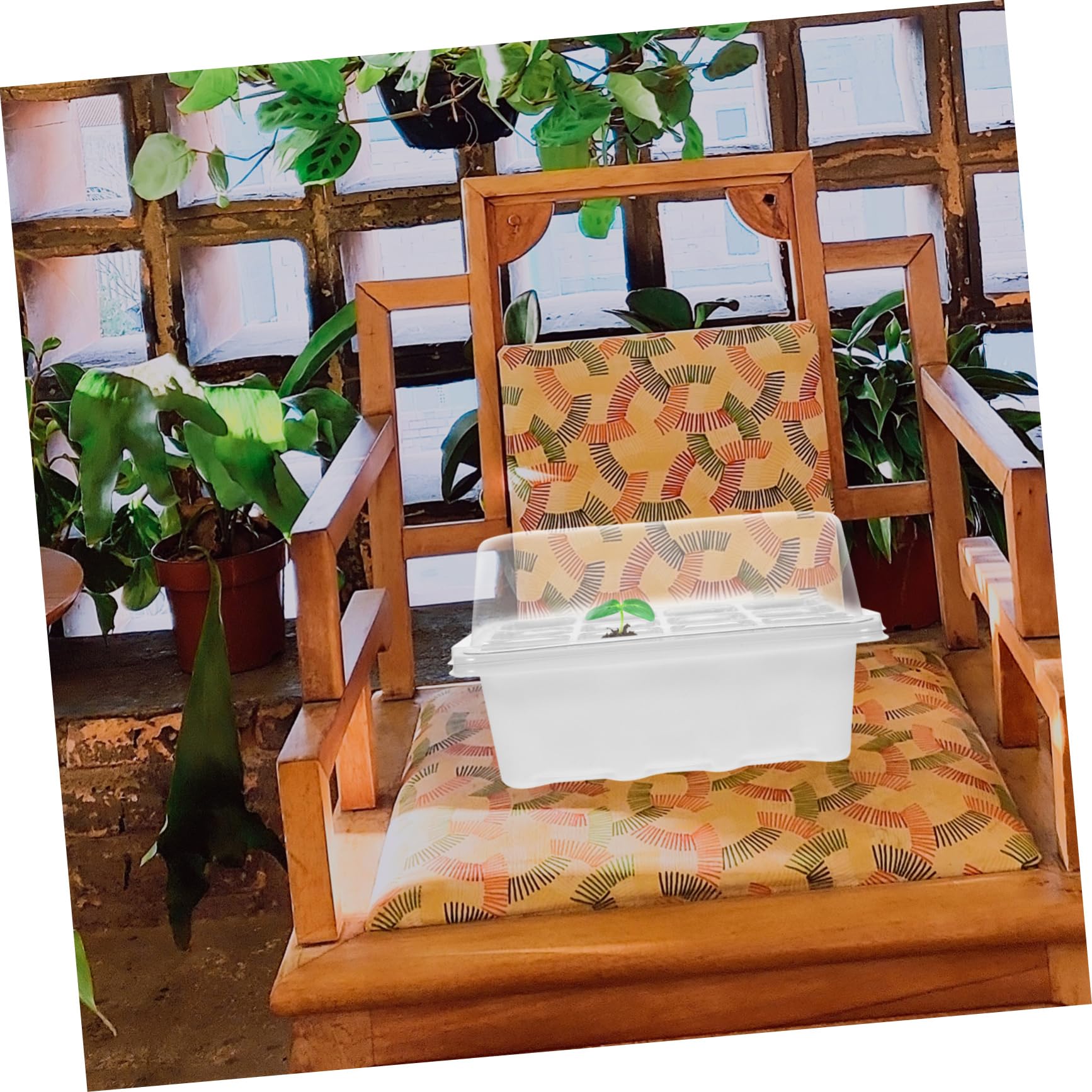 BESPORTBLE 4sets Vassoi per Germinazione Coperchio Kit di Terriccio per Piantine Pet e Accessori per Giardinaggio Adatti per Casa e Giardino