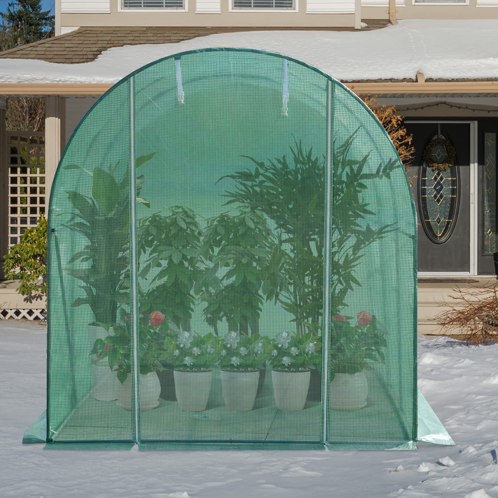 WOLTU Gewächshaus, Foliengewächshaus für Aufzucht Tomaten, Tomatenhaus Winterfest mit Tür 6 Fenstern, aus Stahlrohr PE, 200 x 200 x 300 cm, Grün