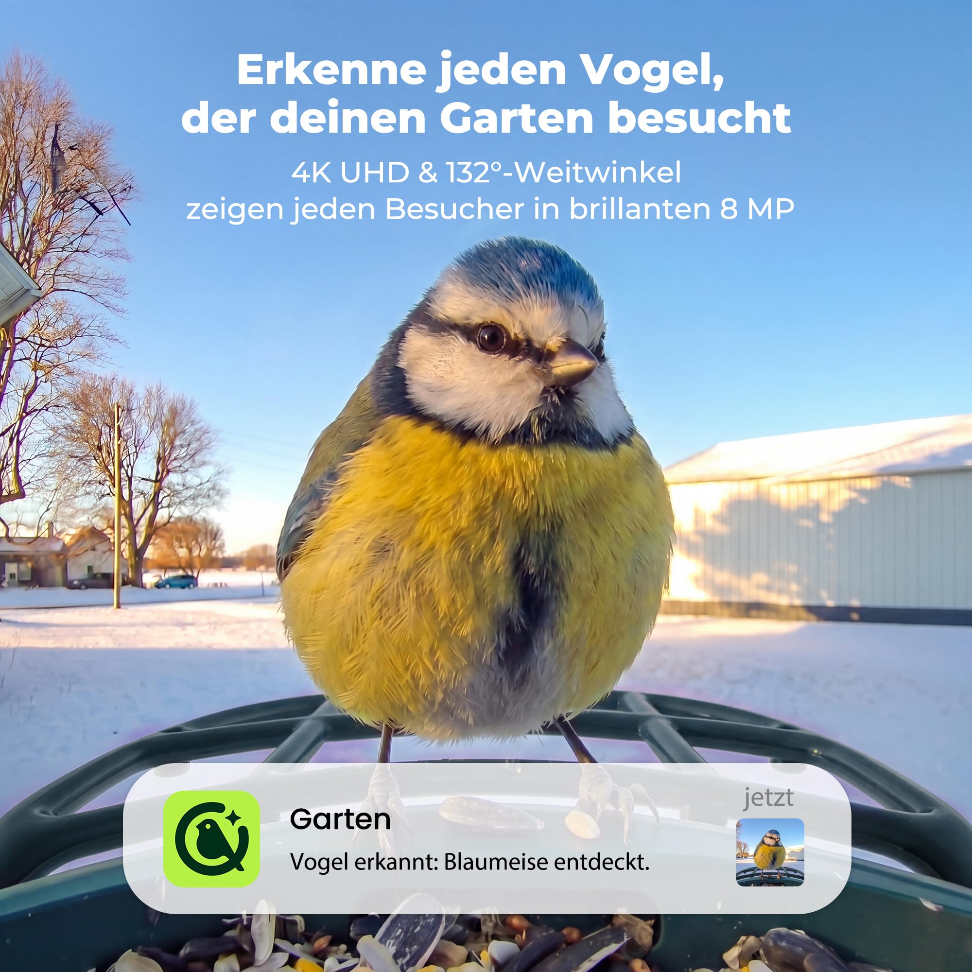 Kiwibit Smart Vogelhaus, 4K Kamera, KI-Erkennung, integriertes Solardach | 8MP Fotos, Live-Ansicht, KI-Vogelerkennung mit Kiwibit , Echtzeit-Alarm und Zwei-Wege-Audio