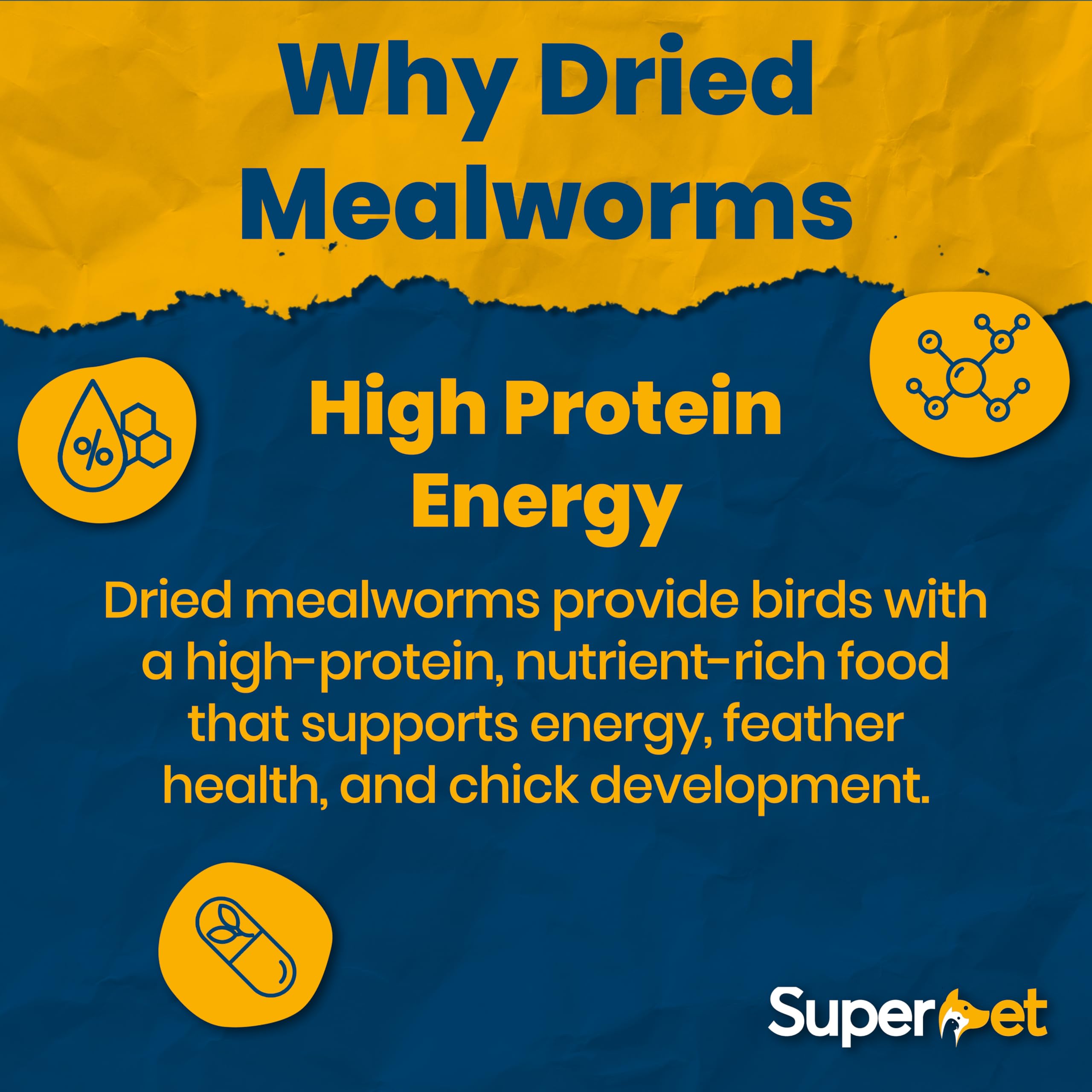 Mealworms 5 kg de gusanos de la harina secos para aves silvestres