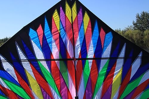 Miniatura 2 de TiffyDance Cometa Delta colorida de 16 pies para diversión al aire libre, cometa voladora fácil, XXL