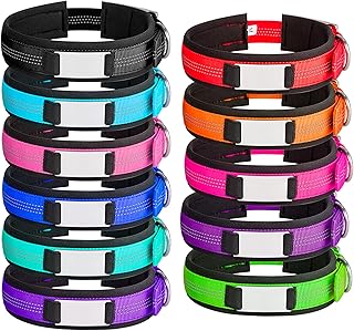 Personalisierte Hundehalsband, Weich Gepolstertes Neopren Breit Hunde Halsband, Verstellbares und Reflektierendes Nylon Hundehalsband mit Namensschild product image