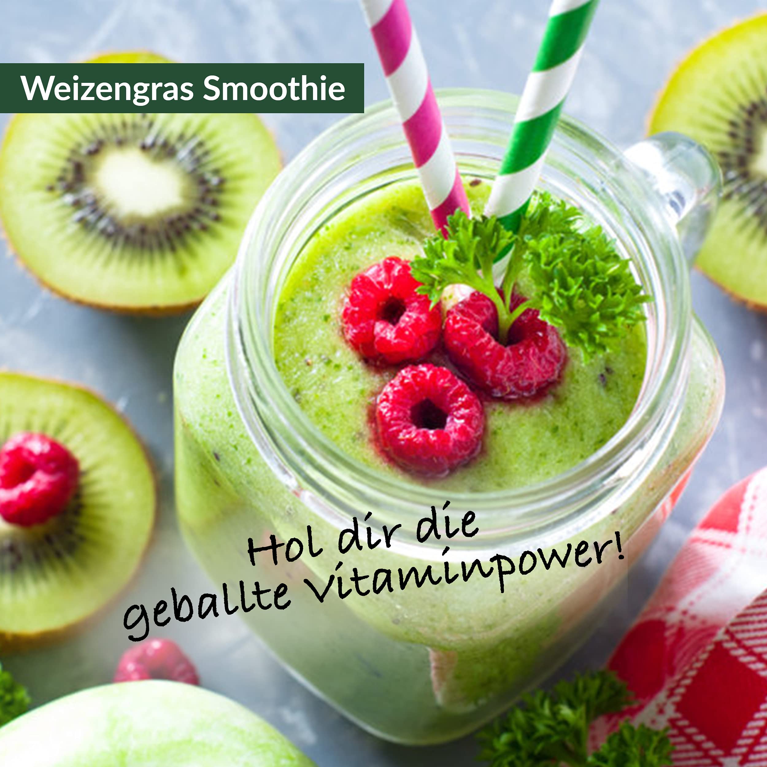 1kg BIO Weizengras Pulver aus DEUTSCHLAND, Rohkost-Qualität, aus jungen Gräsern, ohne Zusätze, für grüne Smoothies (1000g)