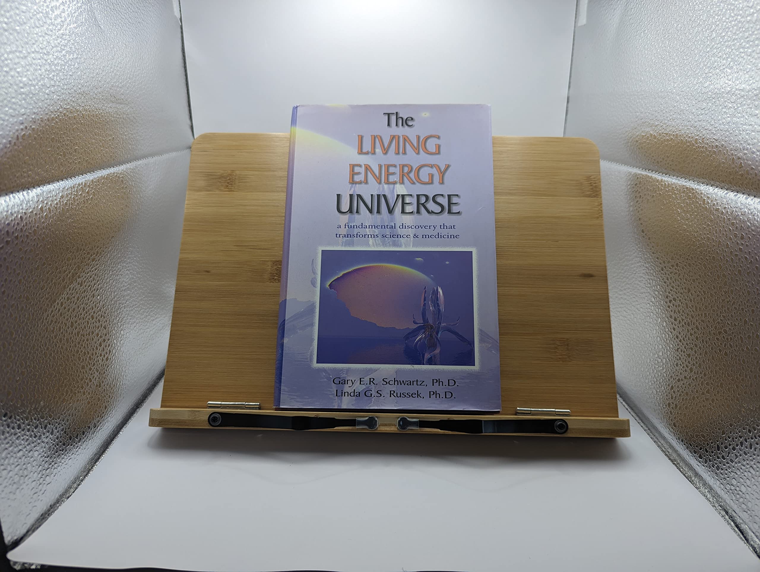 Buy The Living Energy Universe: A Fundamental Discovery That Transforms Science and Medicine — BookShops.in