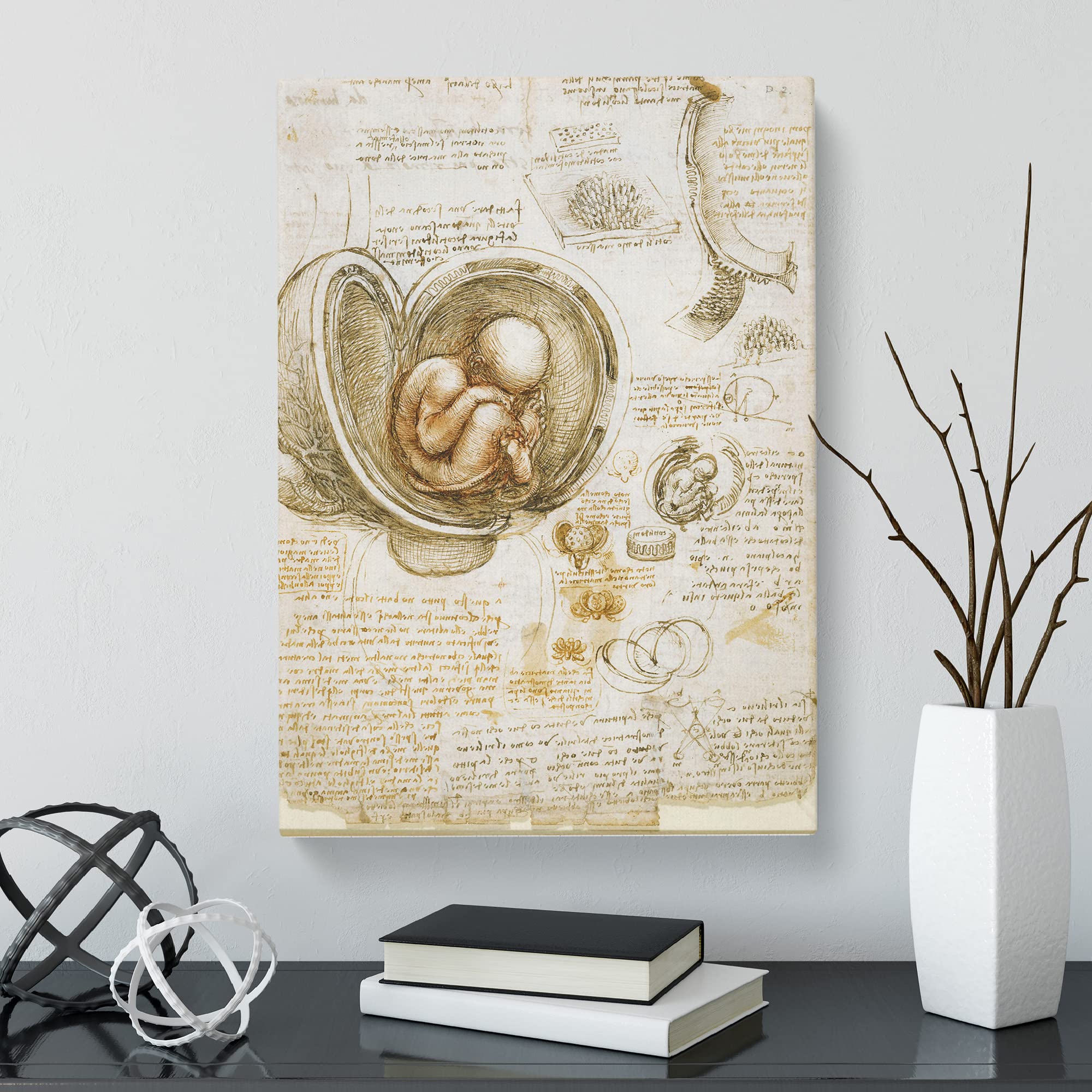 Leonardo Da Vinci Anatomy Canvas Print, Mixed, 25L x 50W cm - Image 2