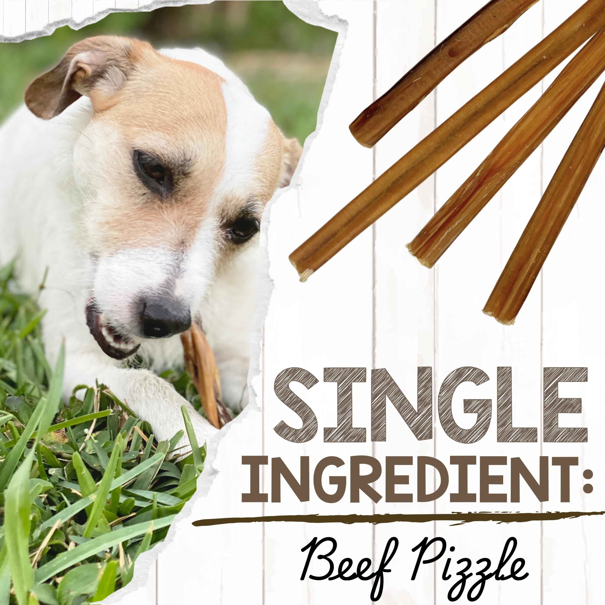 Nature Gnaws Small Bully Sticks for Dogs - Premium Natural Beef Bones - Thin Long Lasting Dog Chew Treats for Light Chewer...