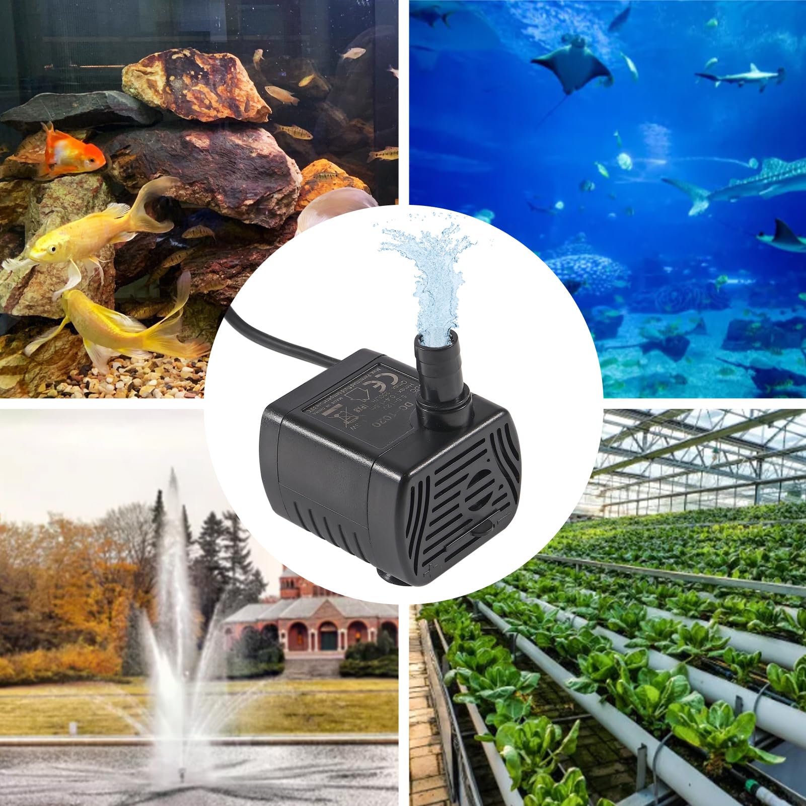 Amazon.com : 2Pcs DC5.5V-12V Mini Submersible Water Pump 1W