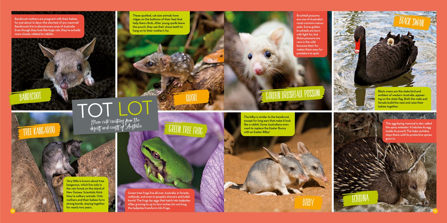 Hey, Baby!: A Collection of Pictures, Poems, and Stories from Nature's Nursery