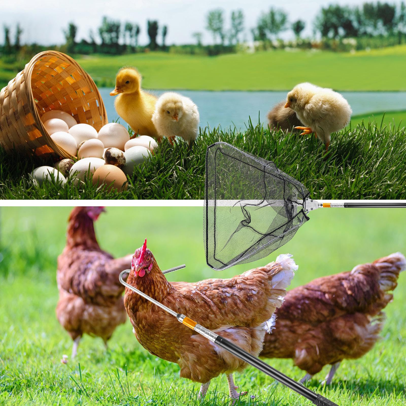 Set de Capture de Poules avec Crochets pour Jambes et Filet de Capture (2-en-1), Ensemble de Pièges à Poules, Outil de Capture de Poules, Outil de Capture de Poules pour Volaille, Poulet, Dindes, Oies