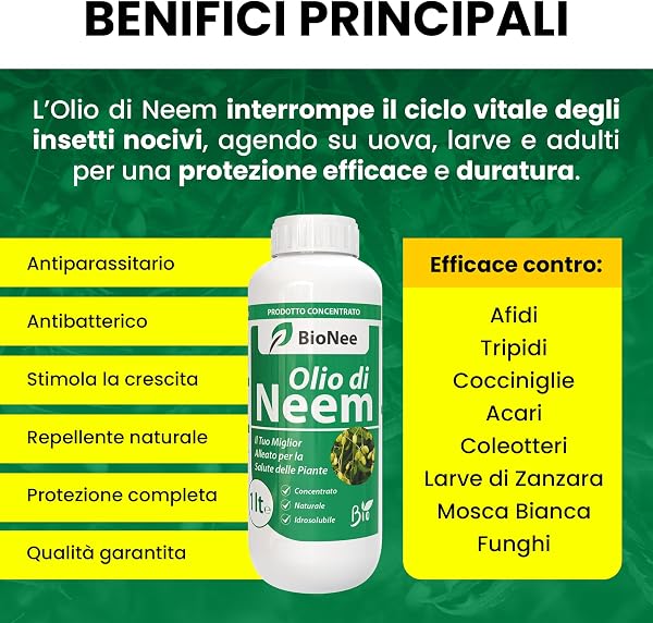 Olio di Neem - insetticida naturale biologico solubile in acqua (1 litro) - 3