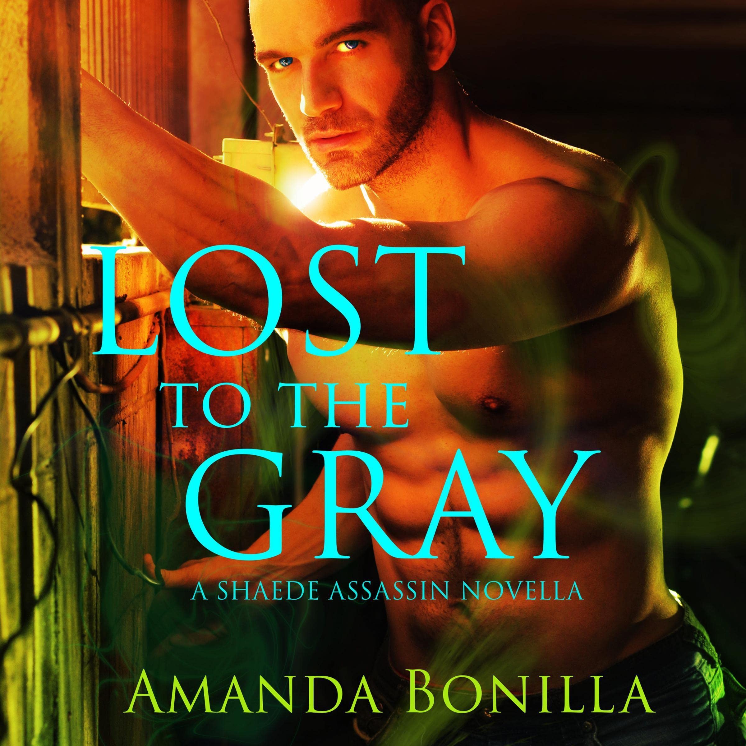 Cover art for Lost to the Gray