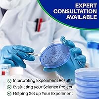 Vista 9 de Evviva Sciences - Kit de proyectos científicos de agar de nutrientes Petri, placas de agar previamente vertidas para experimentos científicos