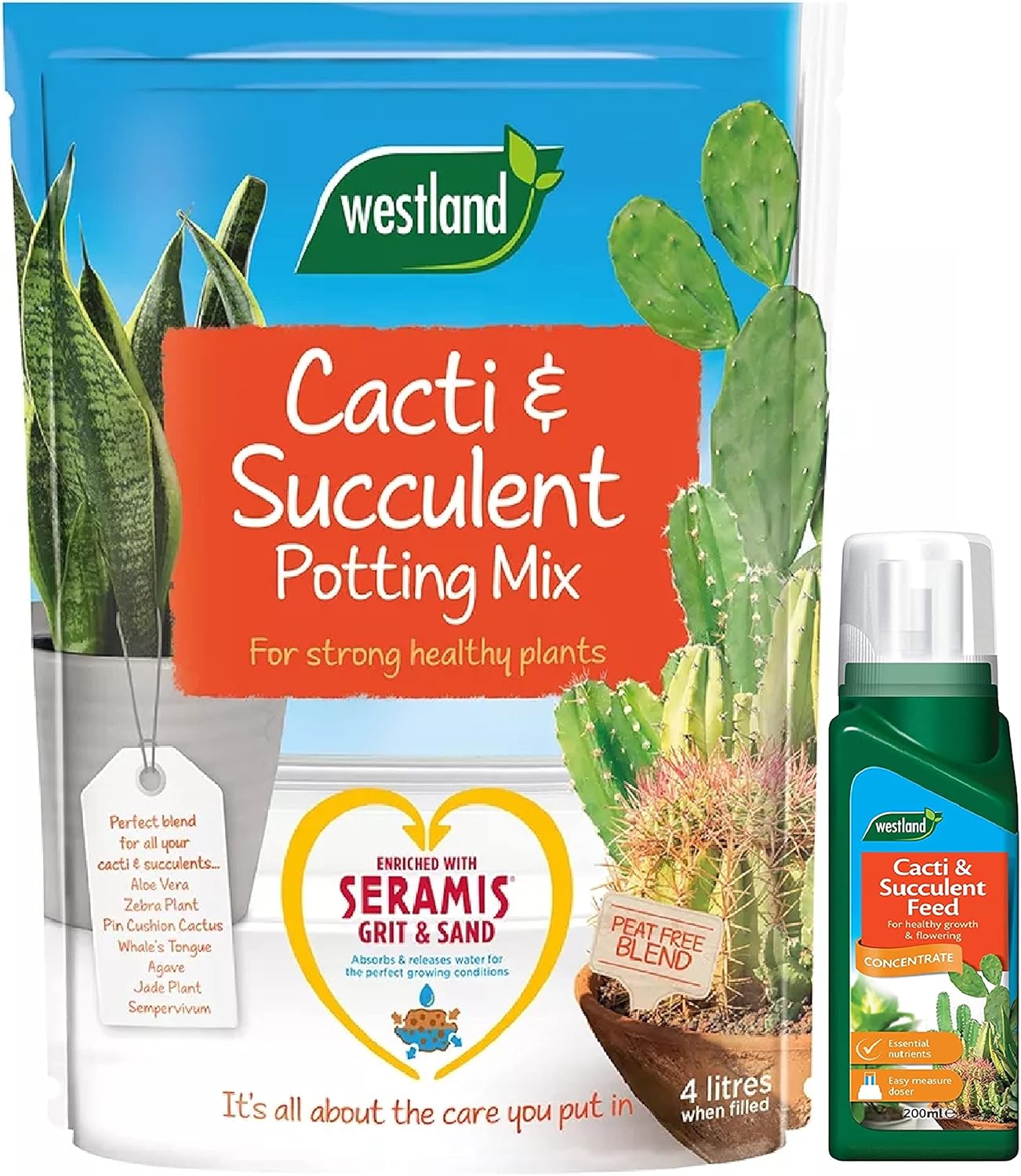 Westland Cacti & Succulent Growing Bundle Peat Free Succulent Potting