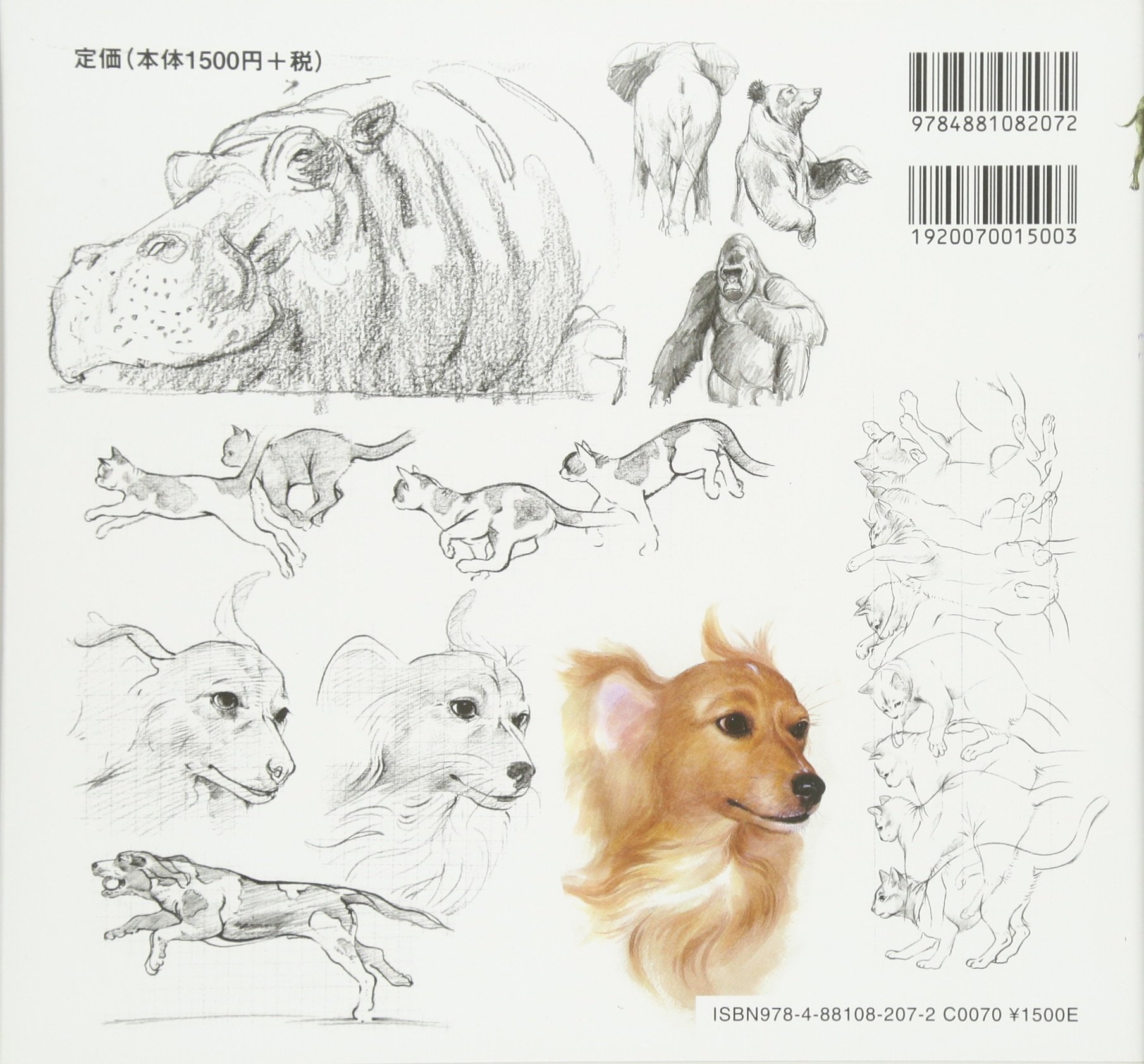 見てすぐ描ける動物スケッチ イヌ38種 ネコ16種 野生動物80種を見る 読む 描く みみずくスケッチシリーズ 視覚デザイン研究所 本 通販 Amazon