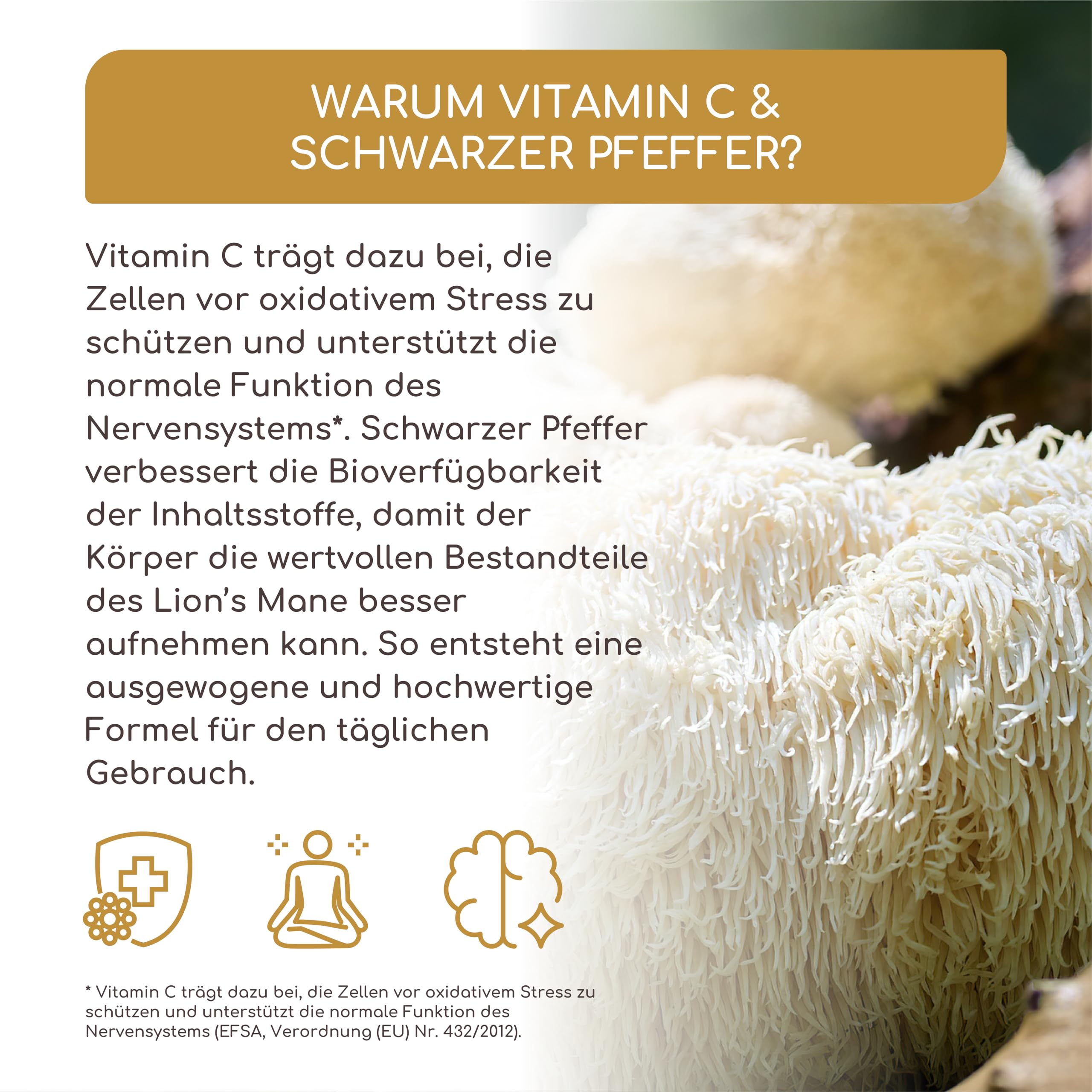 Lions Mane (Hericium Erinaceus) - 1950mg Hericium Extrakt Tagesdosis - 30:1 Extrakt (58.500mg Löwenmähne Pilz) - Mit 30% Polysaccharide & 5% Beta Glucan - Vegan und Laborgeprüft - Raibu