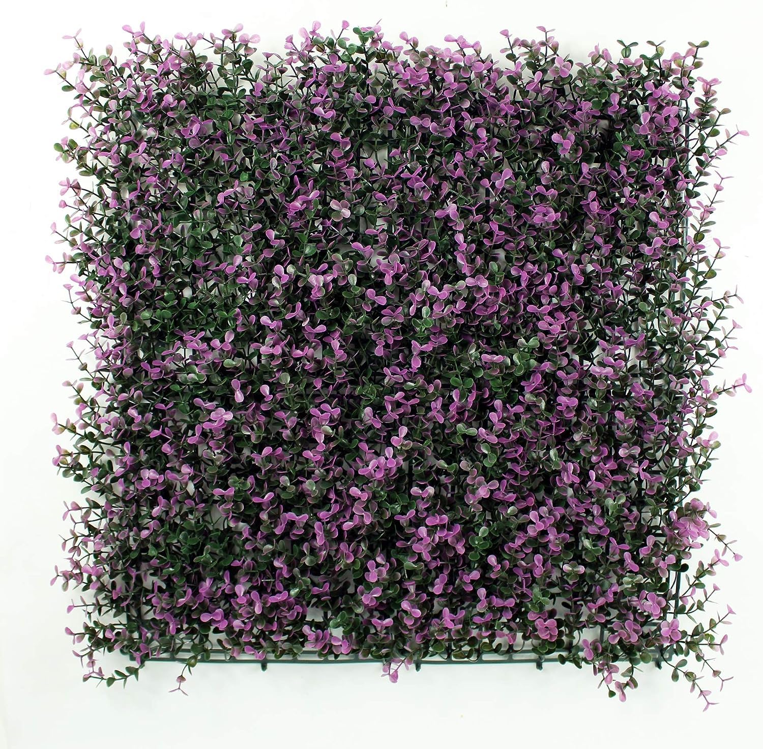 HYGRAD® 12 x Artificial Boxwood Topiary Green Artifical Grass Screen Fencing Hedge Panels 50 x 50 UK Artificial Wall Decoration Panels (Pack of 12) (Purple)