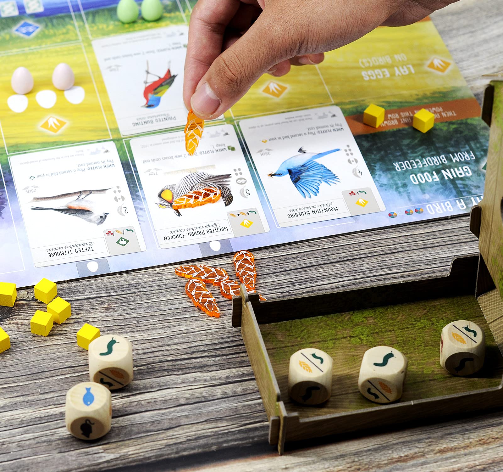 Wingspan Food Resource Tokens with Storage Box Set of 126 Acrylic Laser