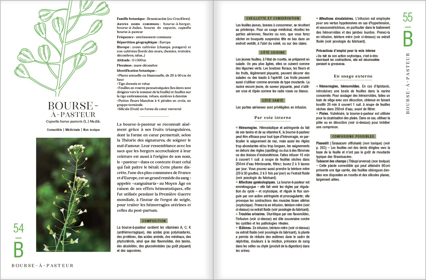 Le guide des plantes sauvages. 100 plantes essentielles aux vertus bienfaisantes - Identification, cueillette, préparation, conservation, propriétés ... plantes essentielles aux vertus bienfaisantes