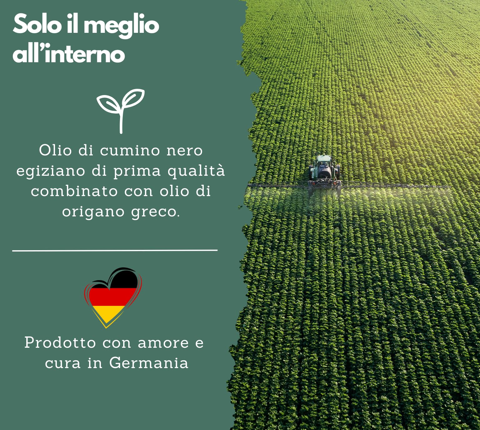 EXVital® Complesso di olio di origano e cumino nero, 180 capsule vegane, 100 mg di olio di origano e 1000 mg di olio di cumino nero al giorno, 80% di carvacrolo, altamente dosato e senza additivi