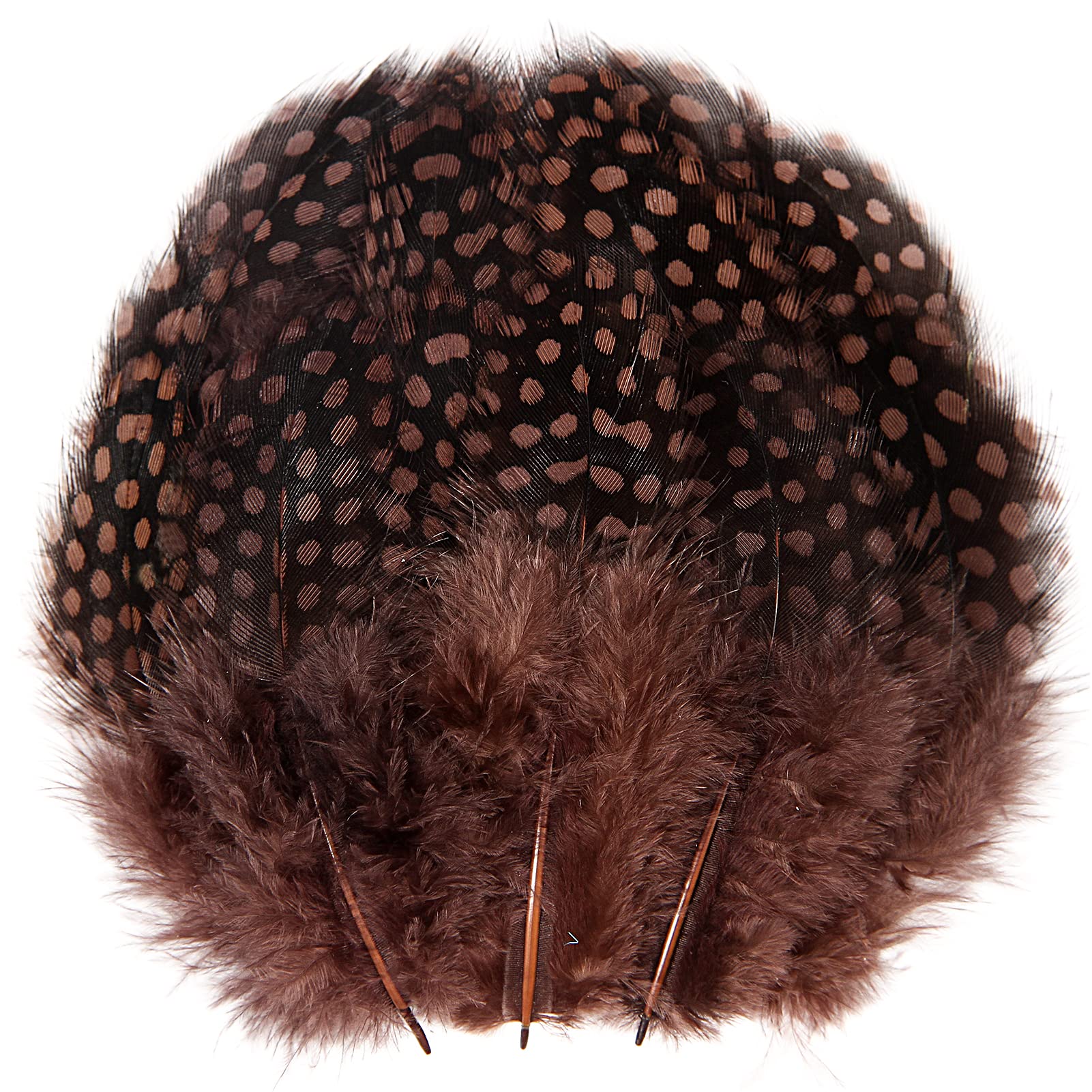THARAHT Spotted Feathers 120pcs 2-3inch Small Natural Bulk Guinea Pheasant Feather for Crafts Hats Dream Catcher Decoration Feathers,Coffee
