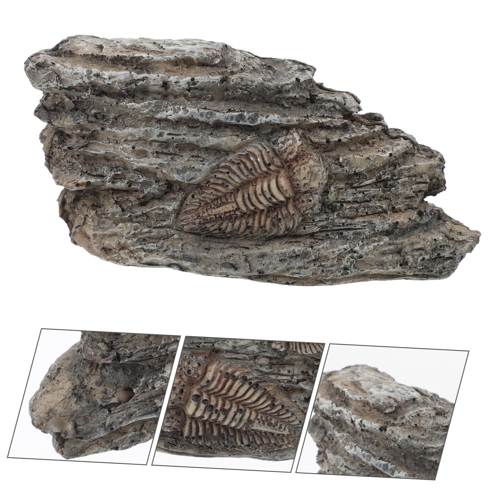 SOLUSTRE 5pièces Ornement Paléontologique Résine De Trilobite Pour Décoration Intérieure Et Enseignement Scientifique Fossile Décoratif Pour Aquarium Et Collection