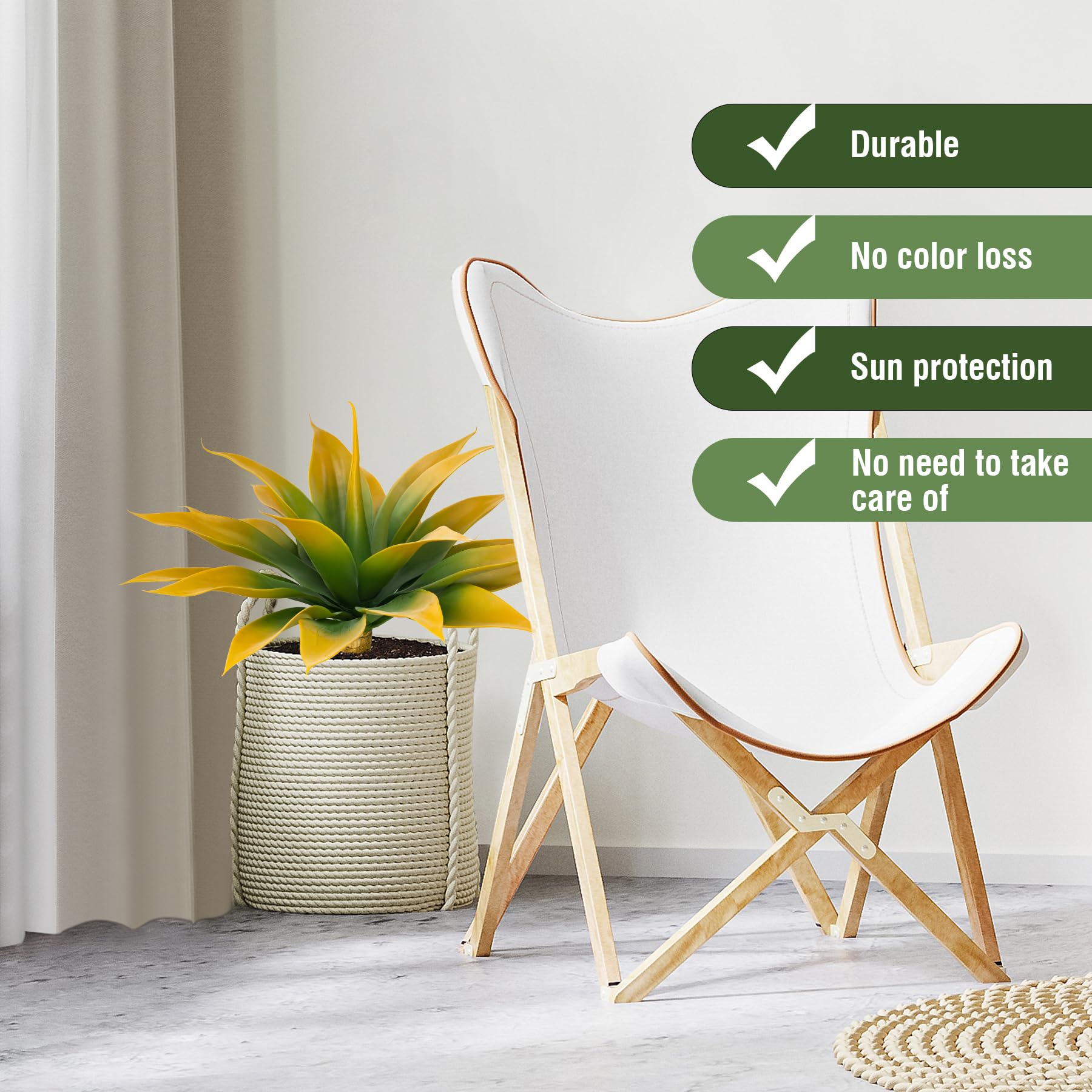 Yellow Agave Plants - 2 Pack, UV Resistant -5