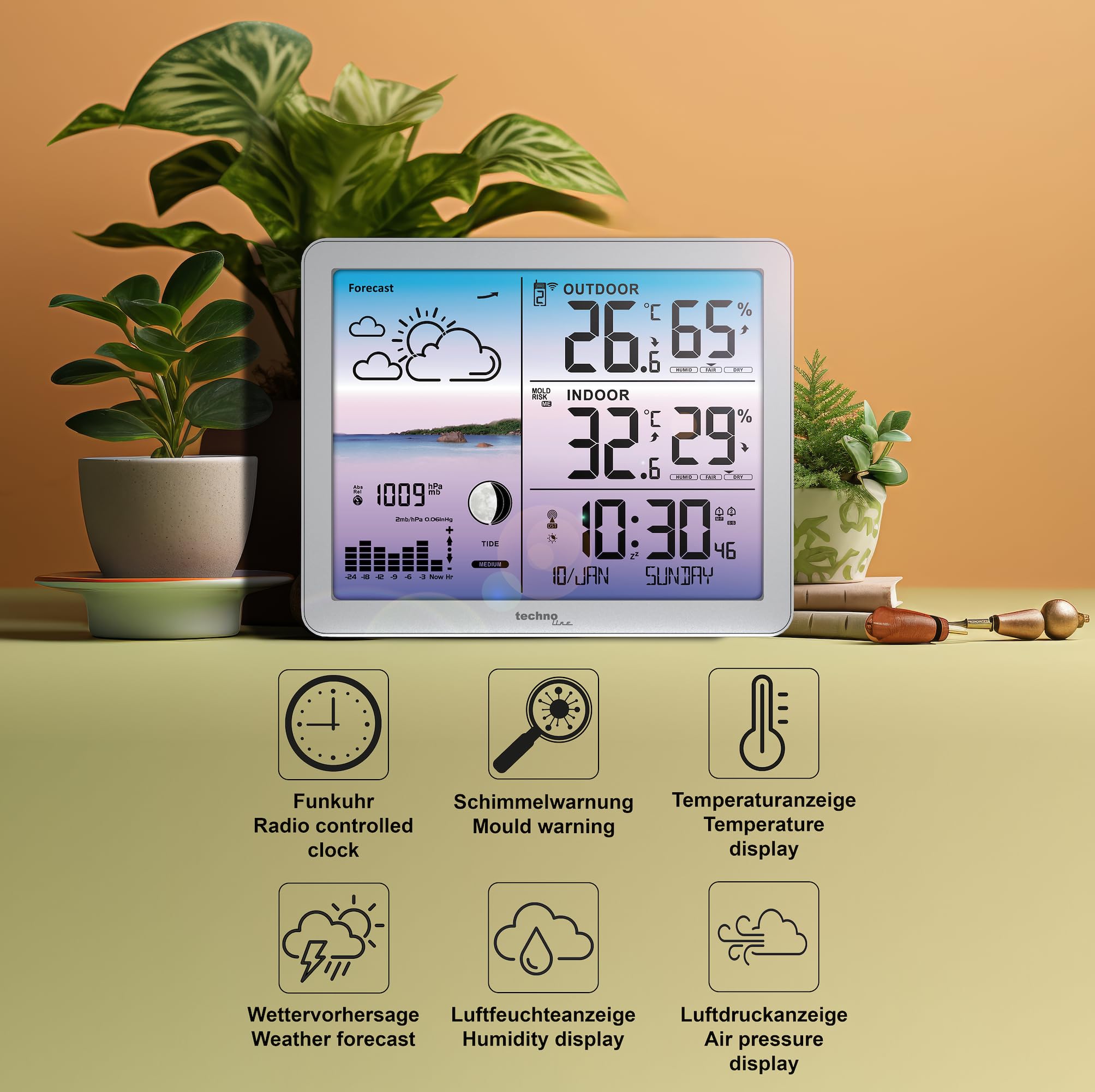 WS6520 Station météo avec affichage couleur, horloge radio-pilotée, affichage de la température, avertissement de moisissure, tendances, prévisions, animations - Tout ce que vous pouvez imaginer