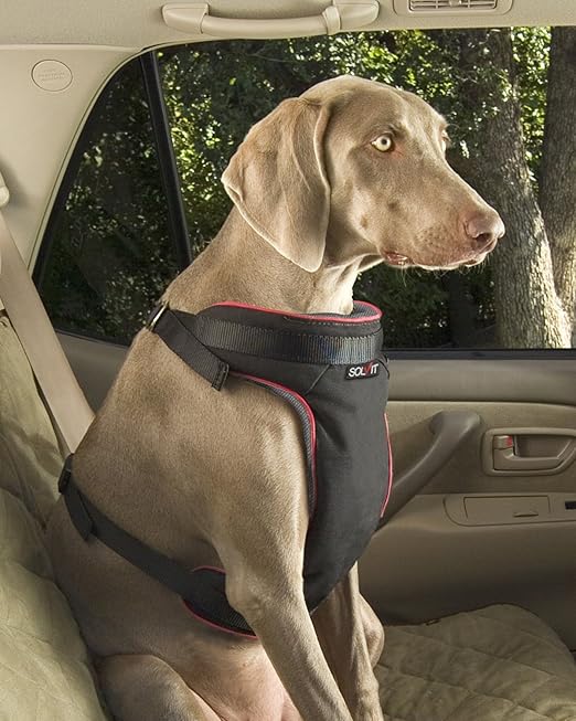 Solvit dog car harness Clearance