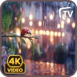 魔法の雨のスクリーンセーバー - 本物の雨と自然の音