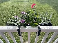 Review Image by Jean Foster Jean Foster