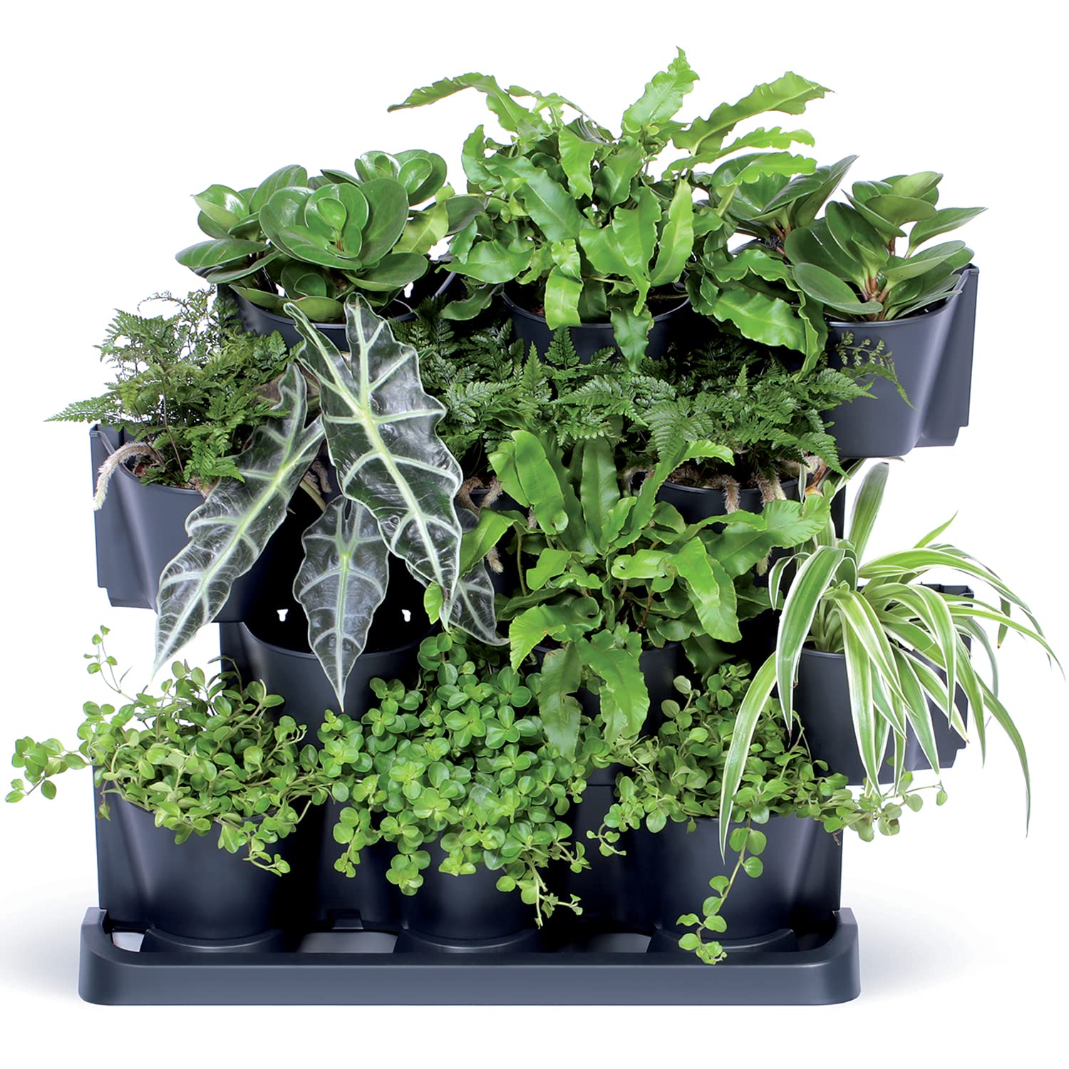 IMJ-Global Set di 12 Vasi Orto Verticale Modulari Per Fiori Piante Cascade Wall Decorativi In Plastica Da Interno Esterno Neri 19 x 68,5 x 54, 6 cm Design Moderno 12 x 0,75 Litri