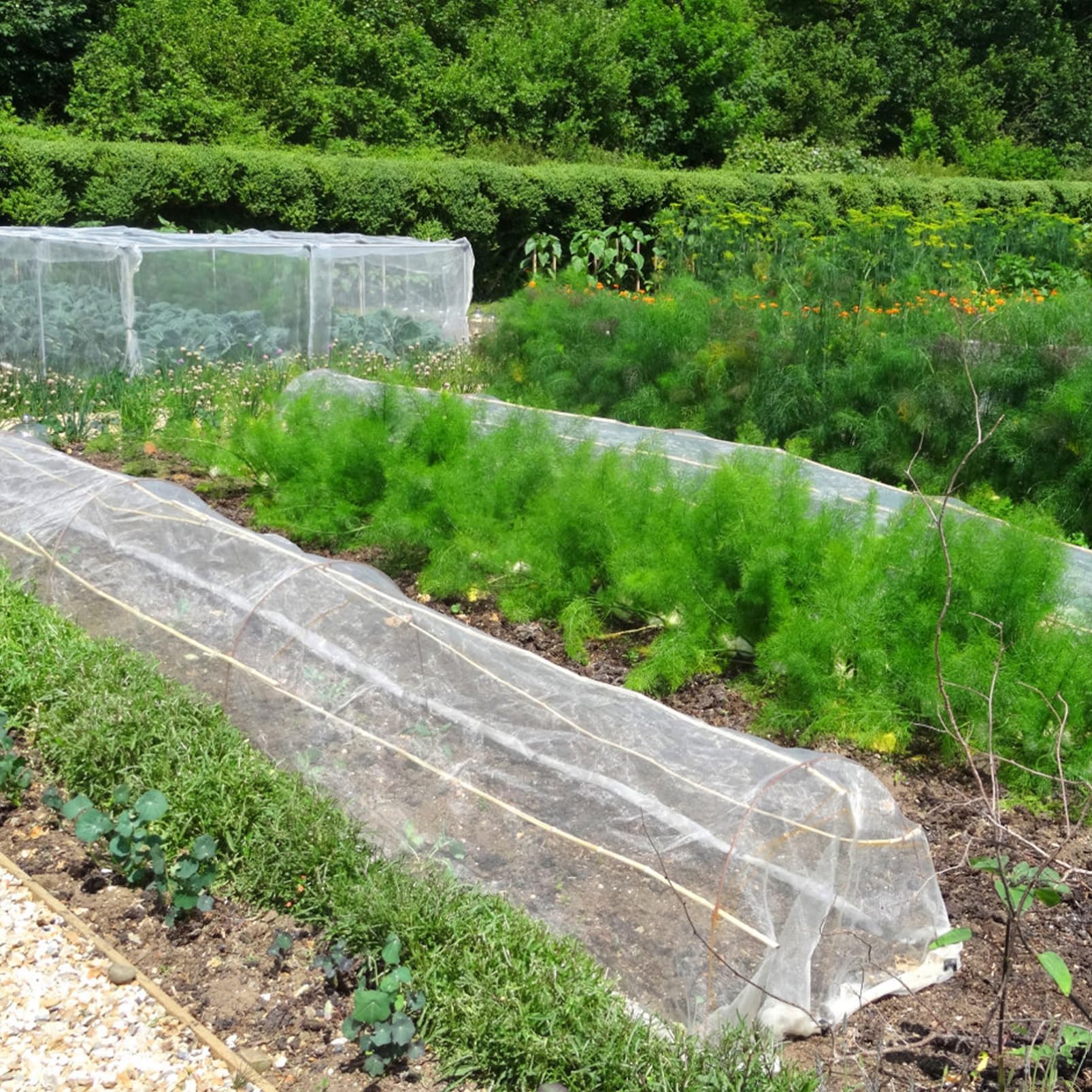 Rete da Giardino Anti-insetti Set, Polietilene e Fibra di Vetro | Fiori e Arbusti, Uso in Giardino e Serra, Protezione Temporanea, Compatibile Recinzioni