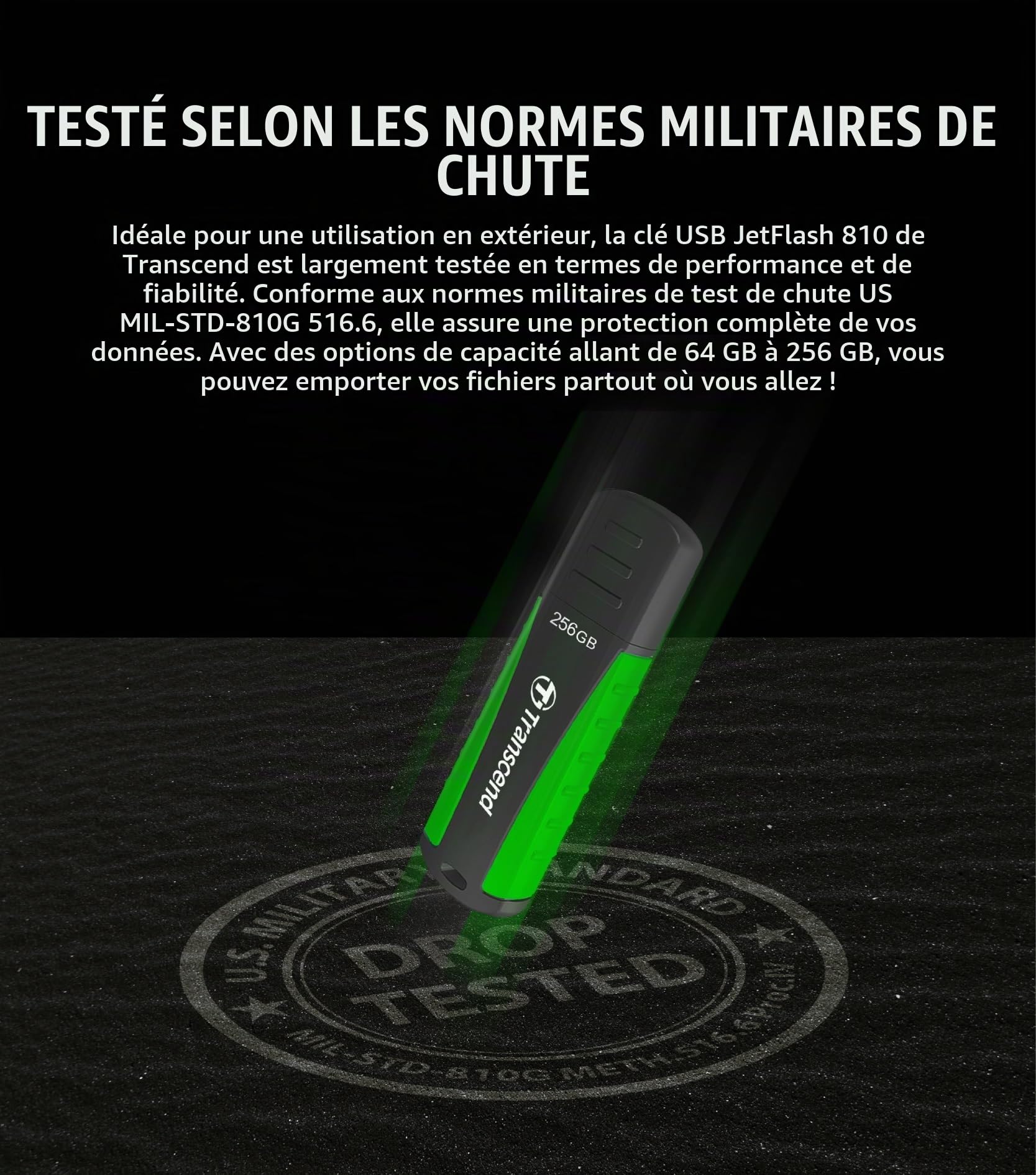 Transcend JetFlash 810 Clé USB 256Go USB 3.1 Gen 1 - TS256GJF810