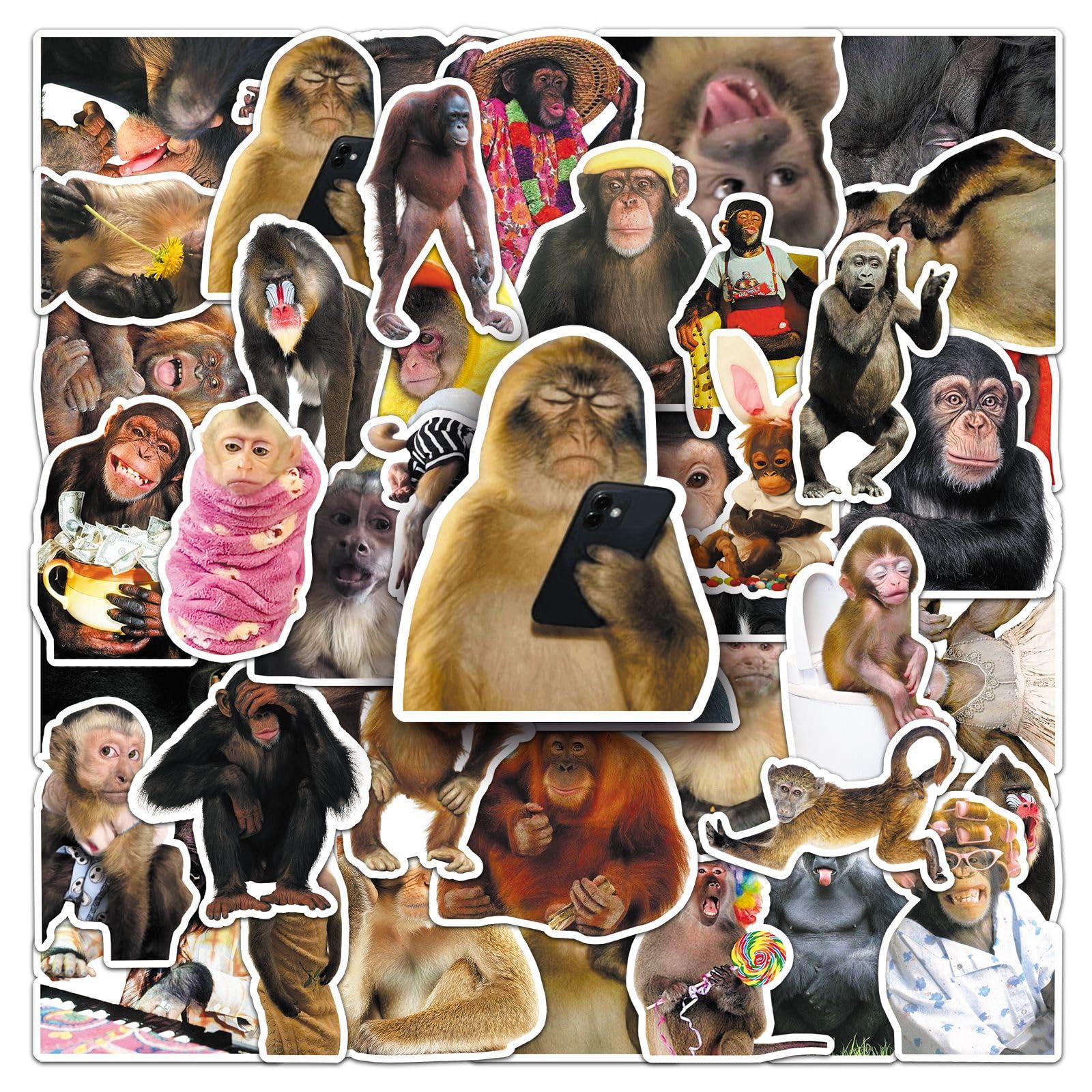 50PCS Cute Funny Orangutan Meme Stickers for Water Bottle,Bumper,Computer,Laptop,Phone,Suitcase,Helmet,Monkey Animal Cartoon Waterproof Vinyl Sticker,Teens Adults Decal,Aesthetic Graffiti Decals — image 1