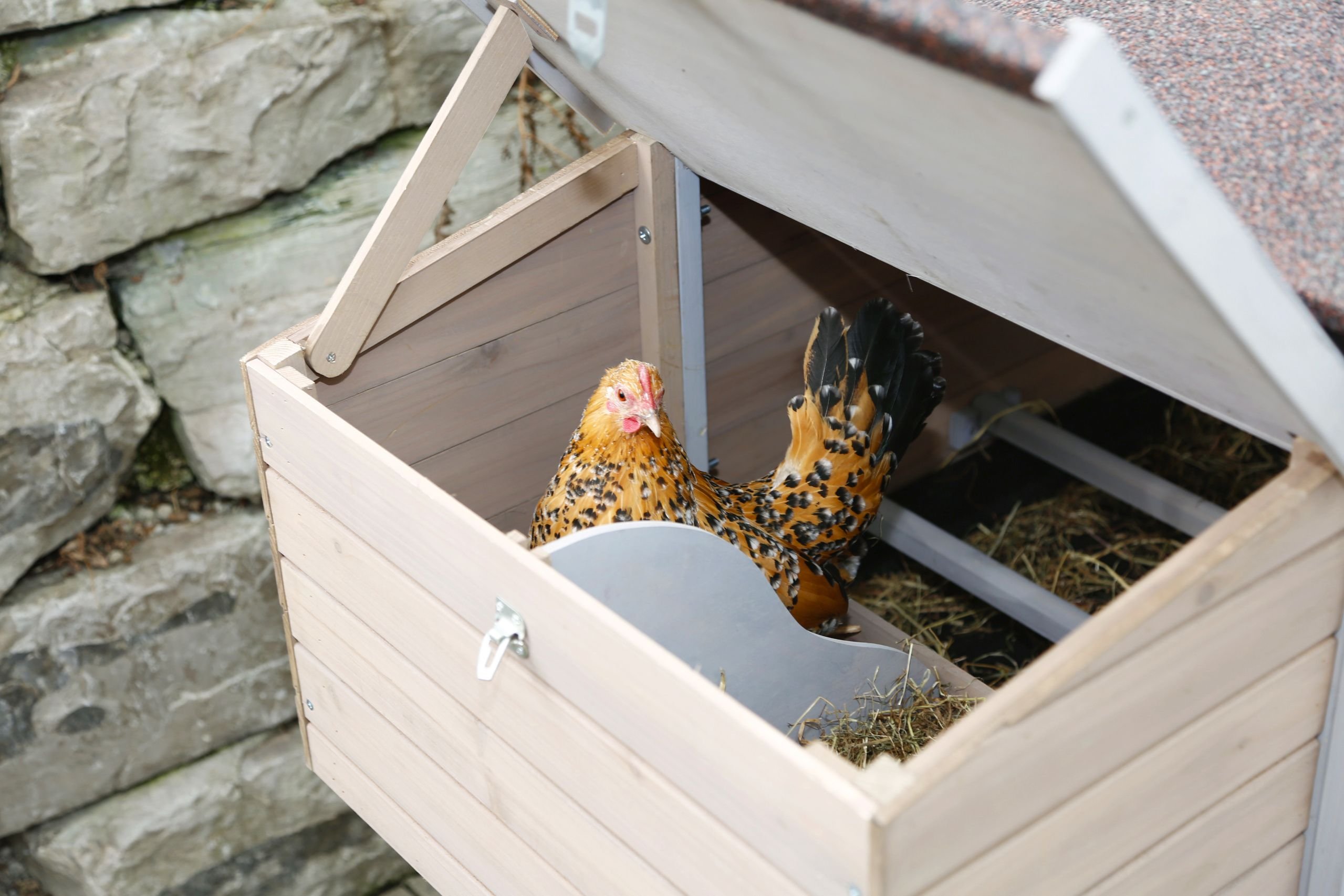 Kerbl Hobbyfarming Hühnerstall Bonny, 181 x 65 x 118 cm, 2 x Sitzstangen, 2 x Legenster, integrierter Auslauf
