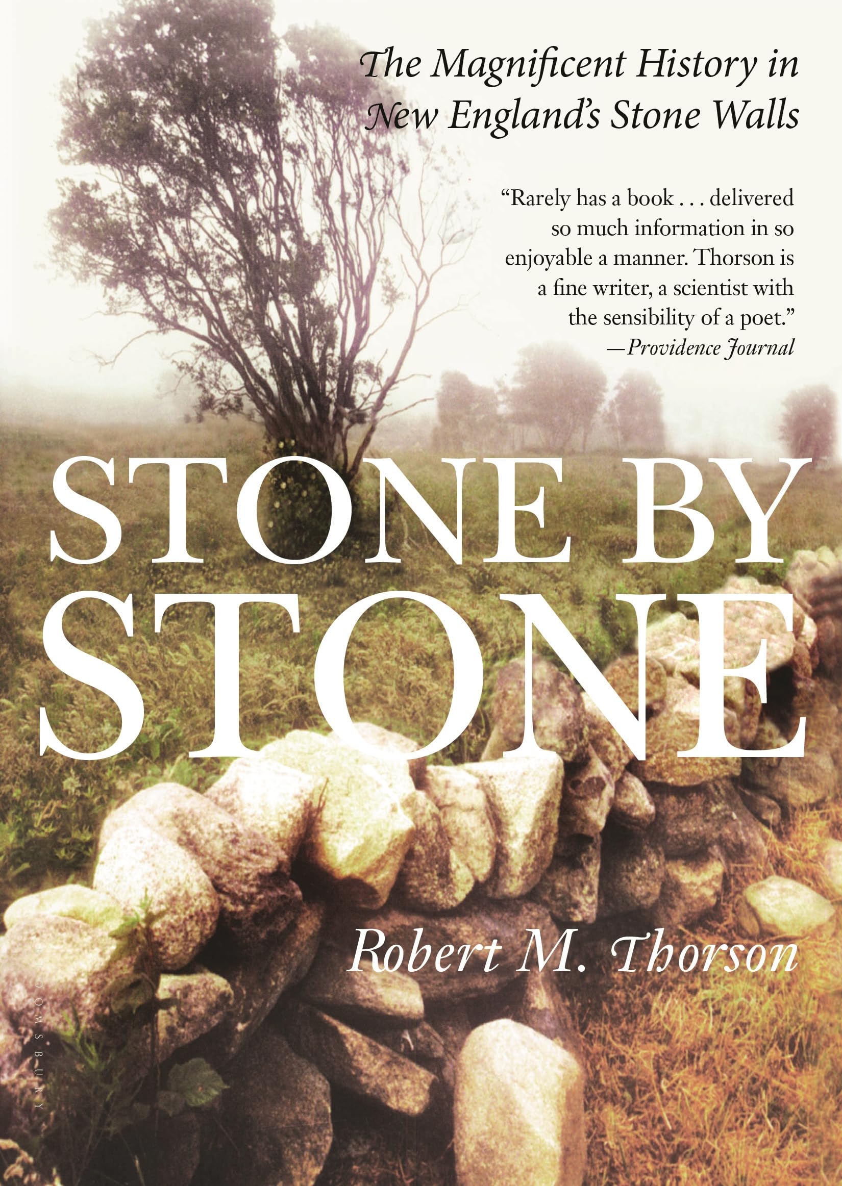 洋書 STONE  STORIA 81u7BIifDsL.jpg