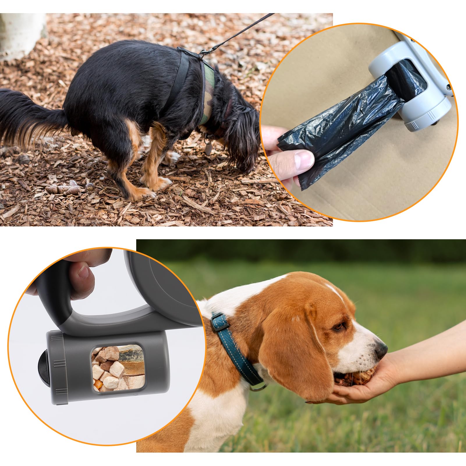 Rollijn Met Zaklamp – 5 Meter, Stevige Nylon Band, Eenhandsrem En Pauzeknop, Voor Kleine En Middelgrote Honden (en Katten!)