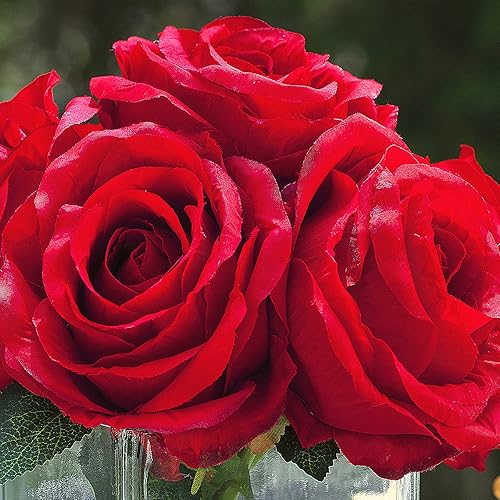 Miniatura 3 de Enova Floral - 7 rosas artificiales de seda con tallos grandes, arreglo de flores falsas en jarrón de cristal con agua sintética para decoración del