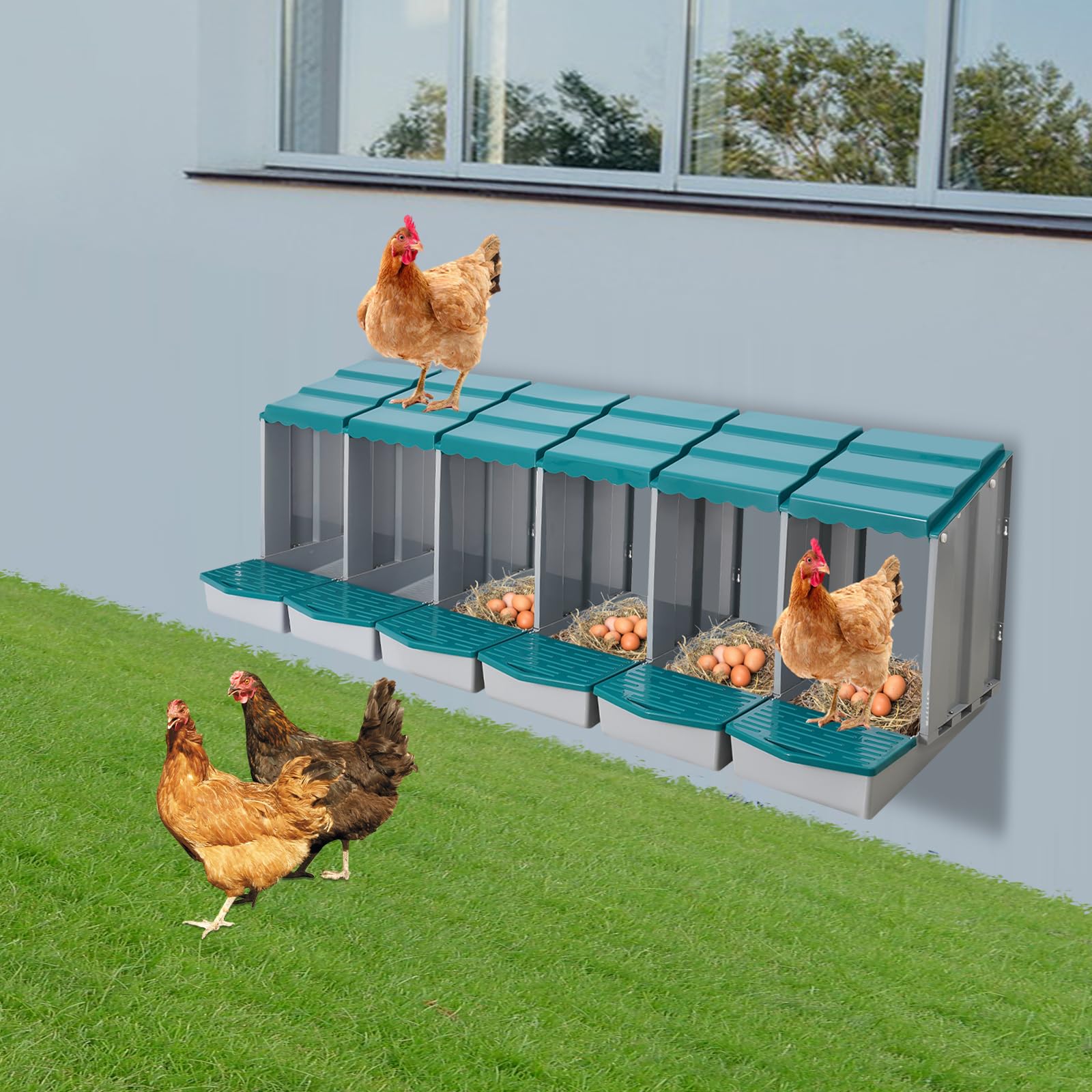 Nido de 6 compartimentos para pollos, nido de pollo con suelo inclinado y orificios de ventilación, accesorios para gallinero, para patio, jardín y gallinero, montaje en pared y suelo (verde 1)