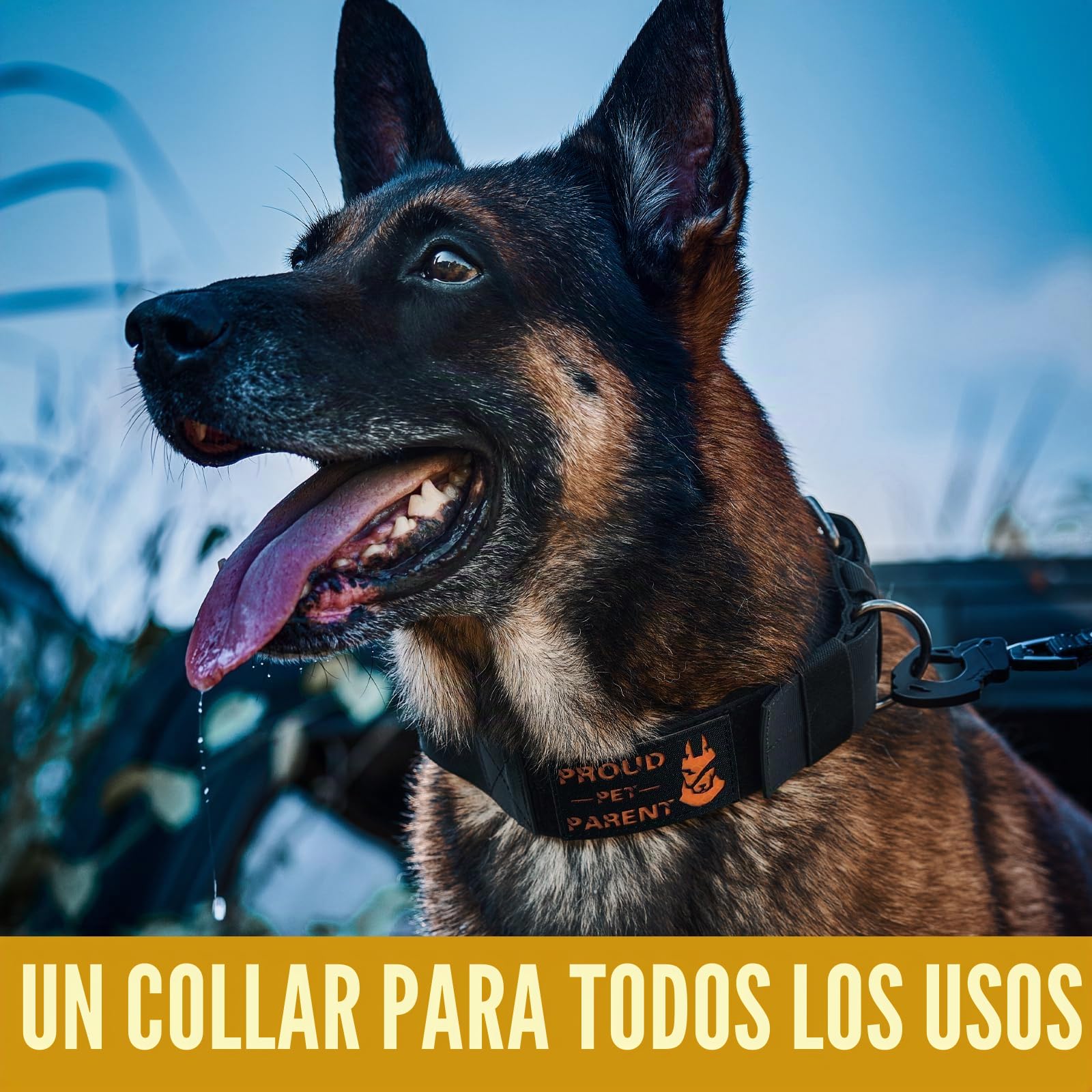 OneTigris - Collar de 5 cm de ancho para perros grandes con asa y parche, negro, L