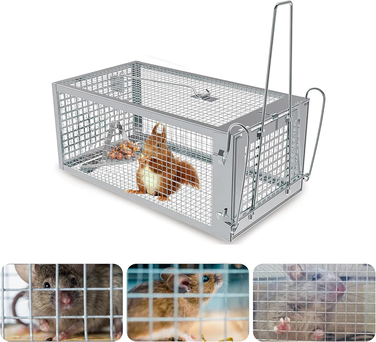 Trampa humana para ratas, trampa para roedores de ardillas listadas que funciona para animales pequeños en interiores y exteriores, ratones, hámsteres, jaula viva, captura y liberación, 1 paquete
